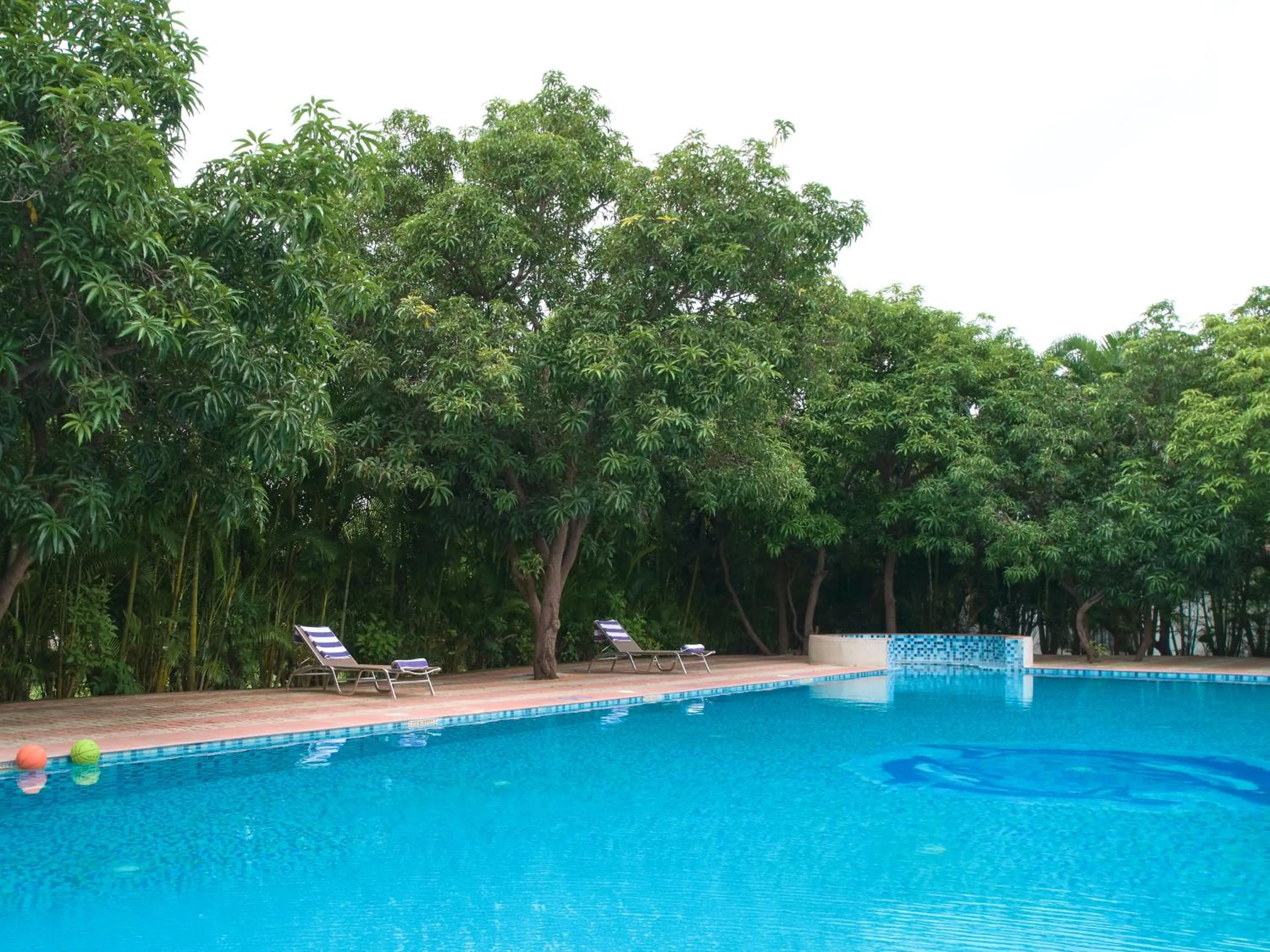 Swimming pool in Sarovar Portico Sasangir