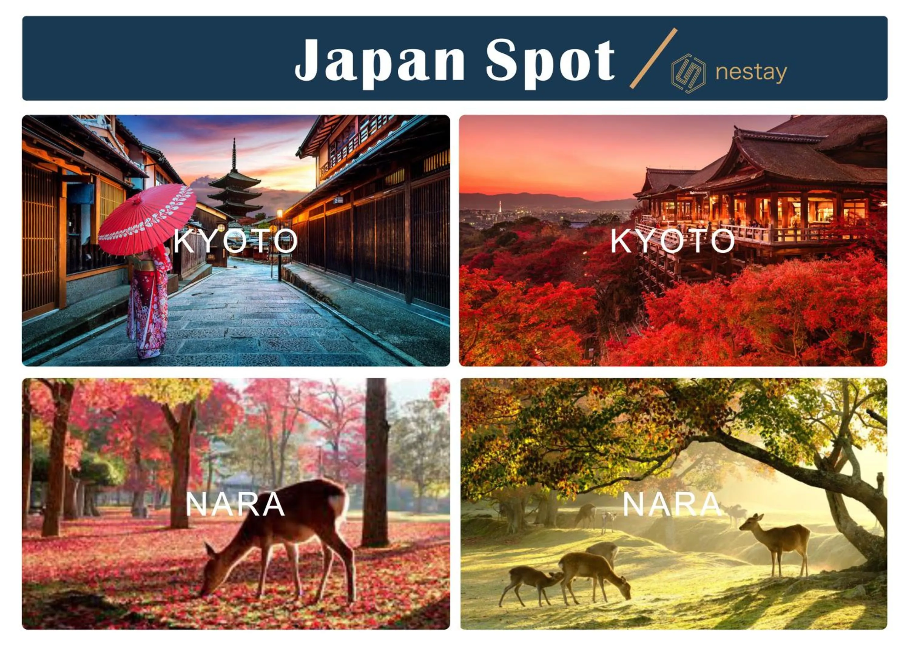 nestay villa tokyo shinjuku