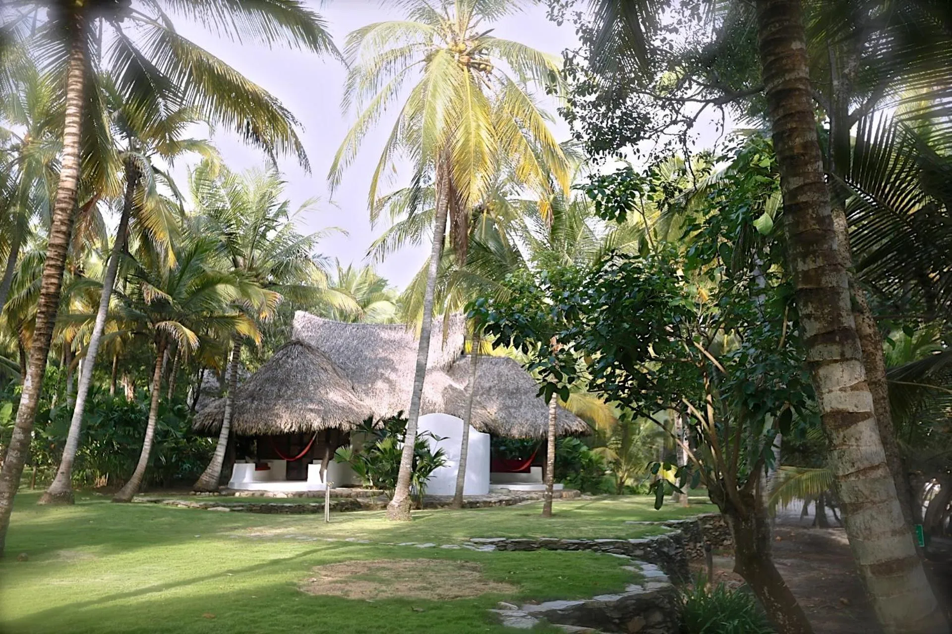 Natural landscape in Hotel Casalina