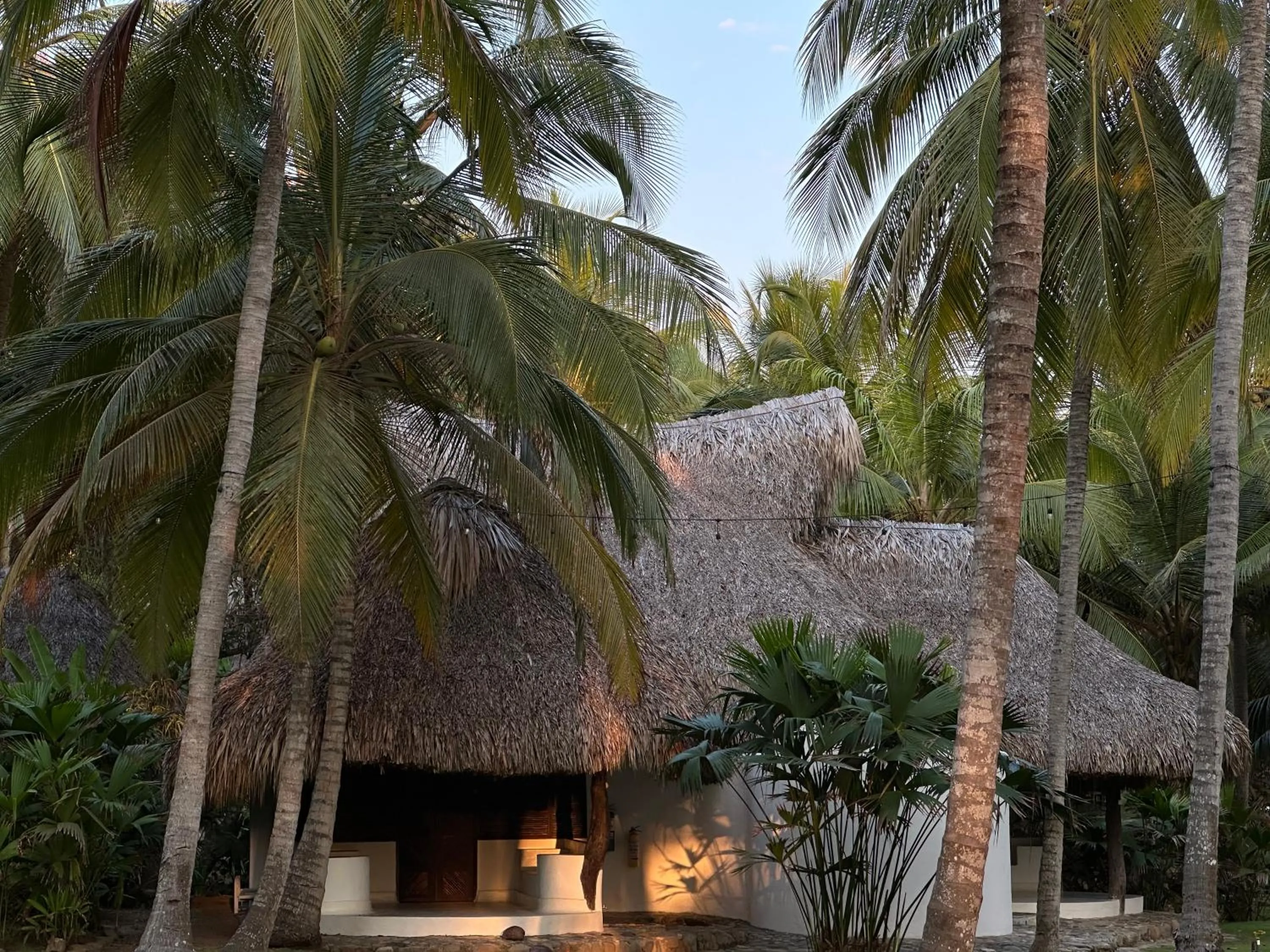 Natural landscape in Hotel Casalina