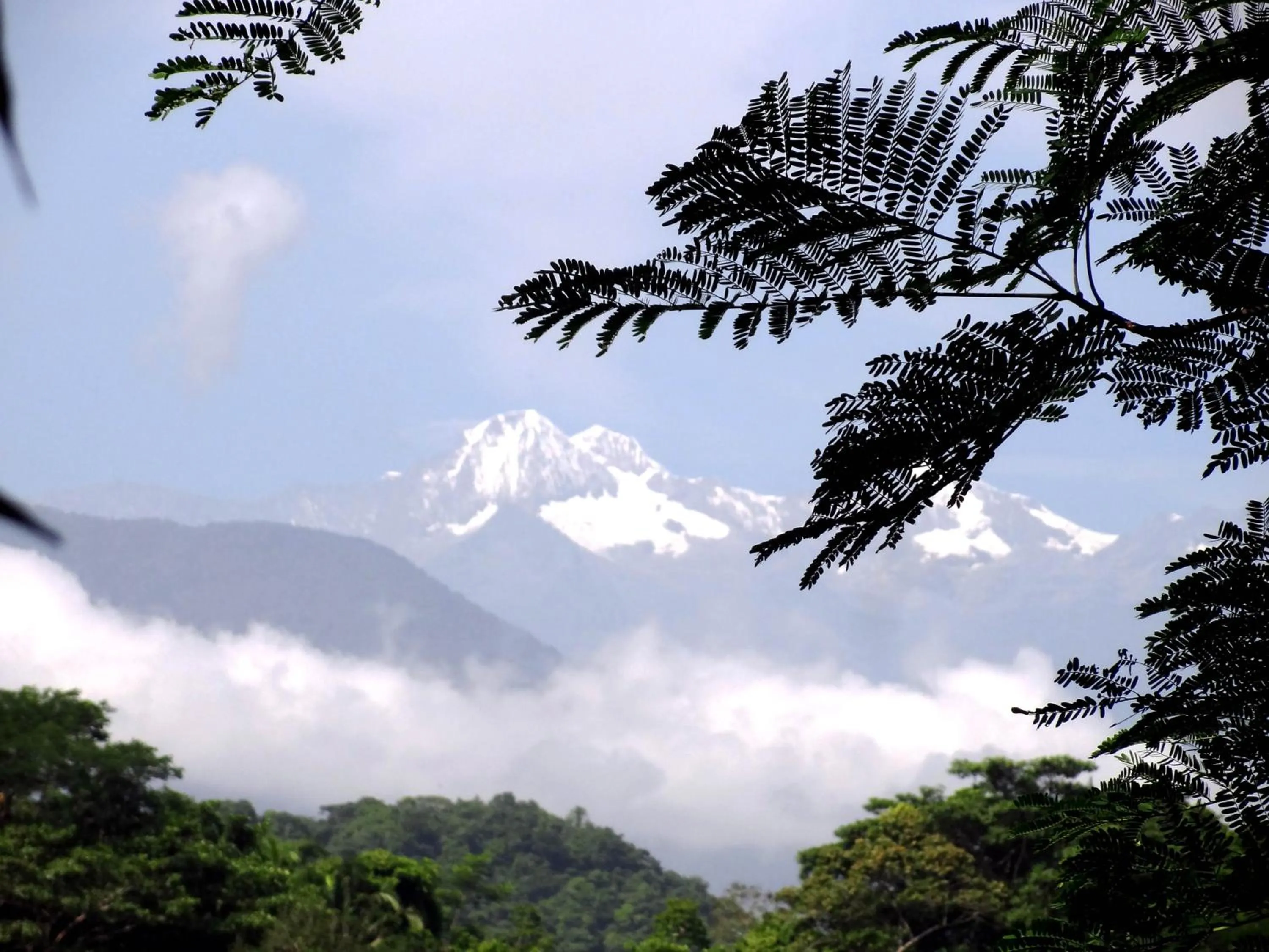 Nearby landmark in Hotel Casalina