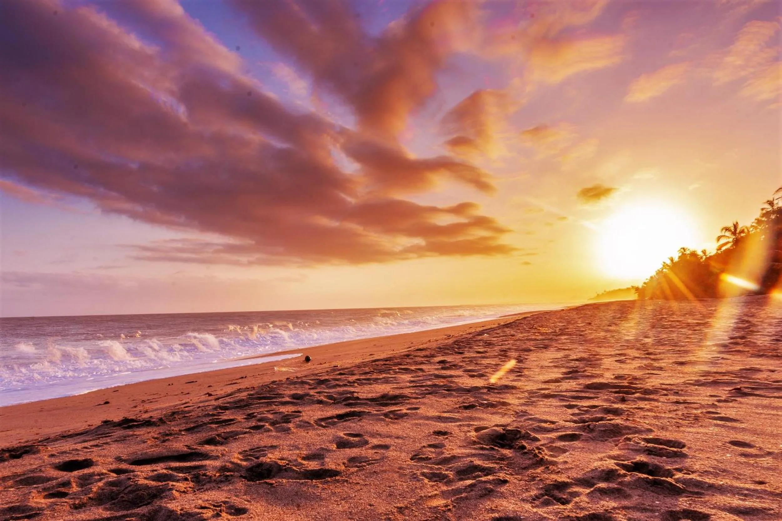 Natural landscape in Hotel Casalina