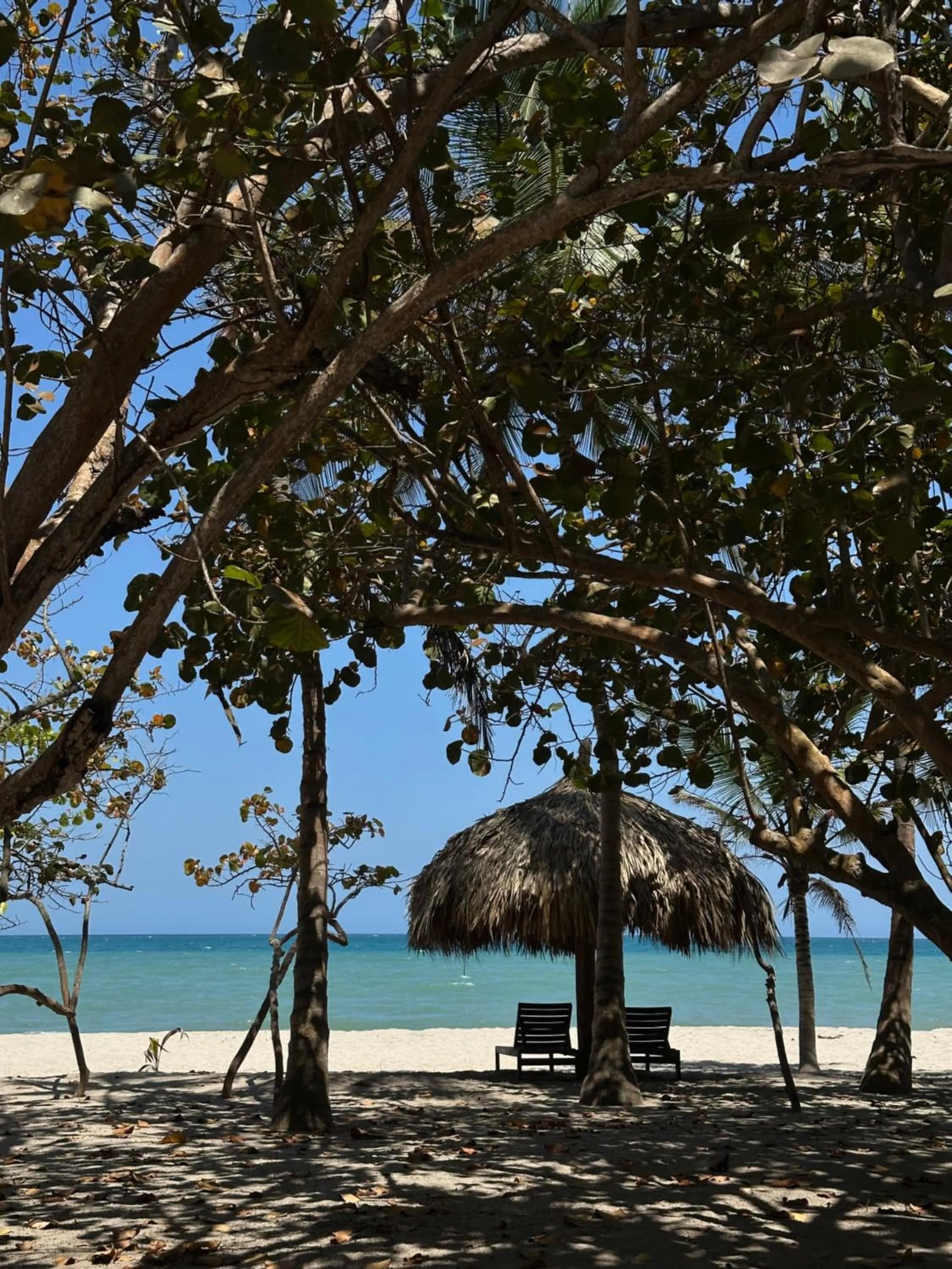 Natural landscape in Hotel Casalina