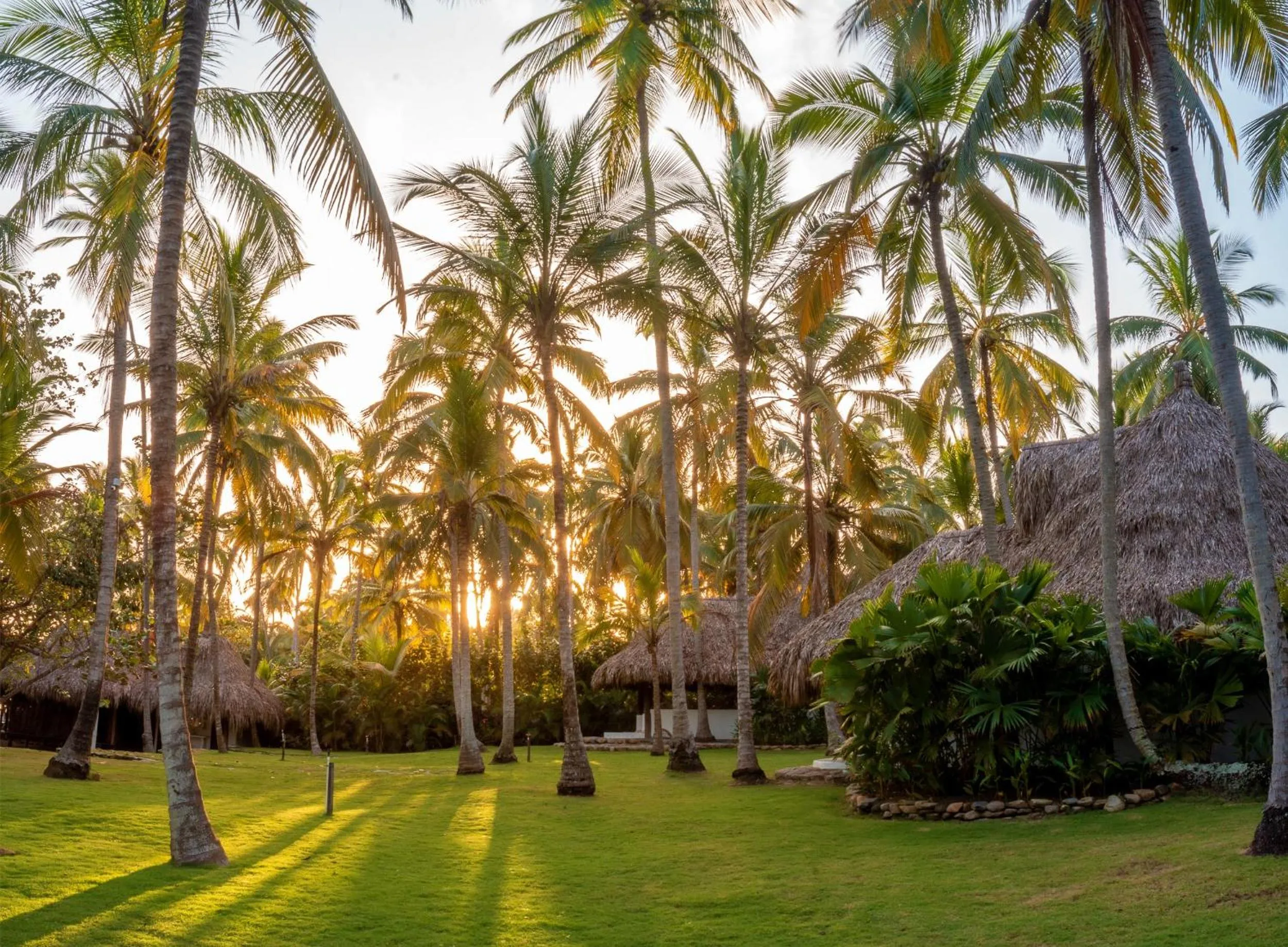 Natural landscape in Hotel Casalina