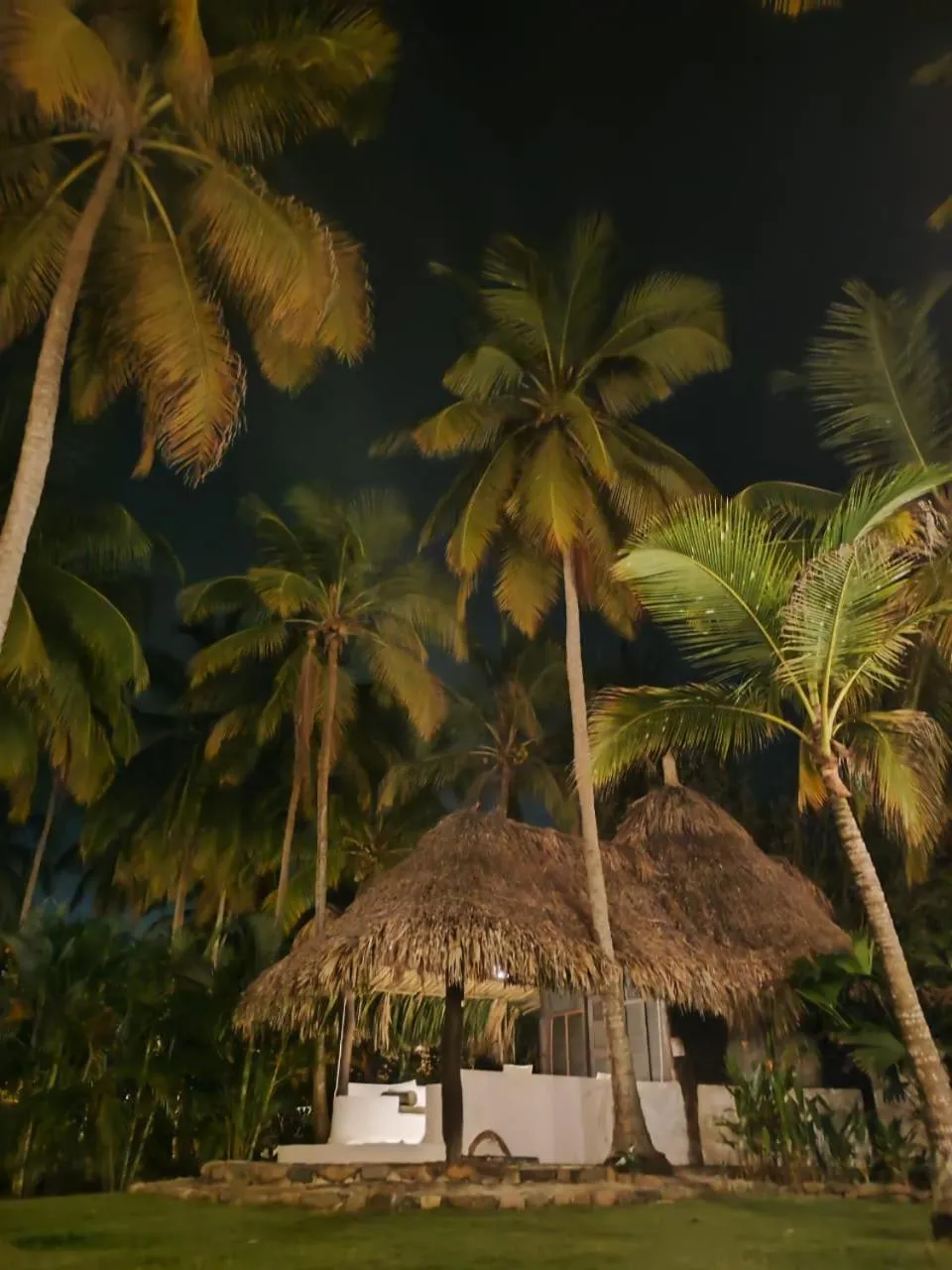 Night in Hotel Casalina