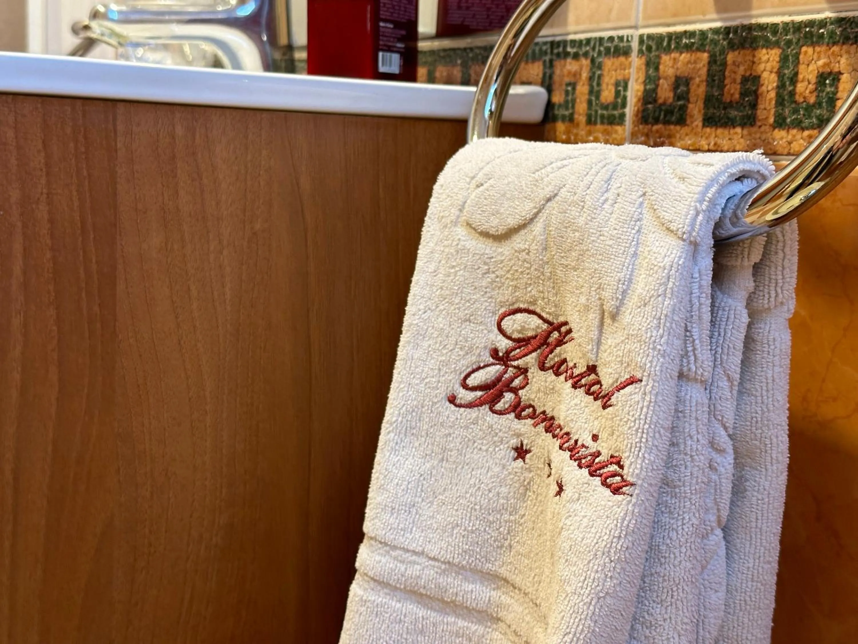 Toilet in Hostal Bonavista