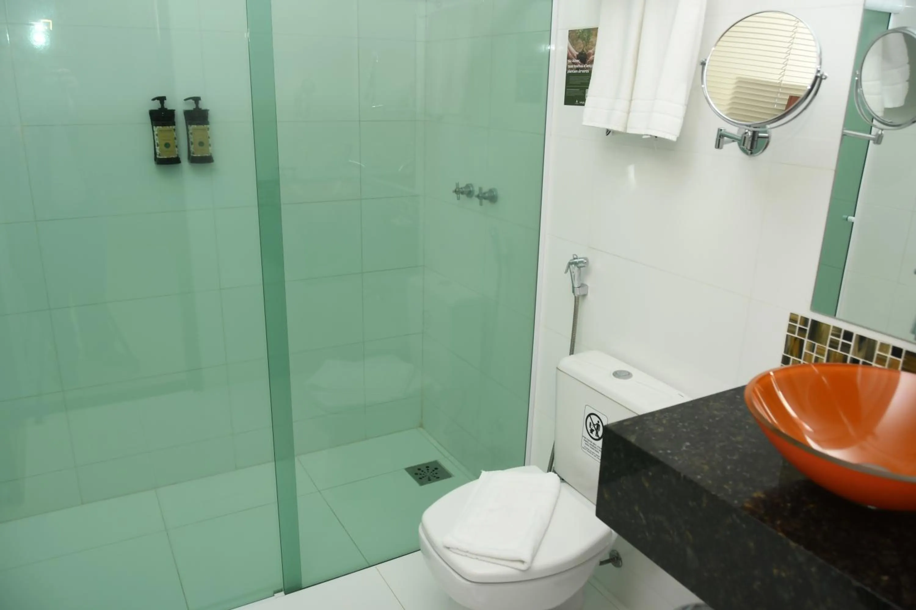 Bathroom in Hotel Araraquara By Mercure