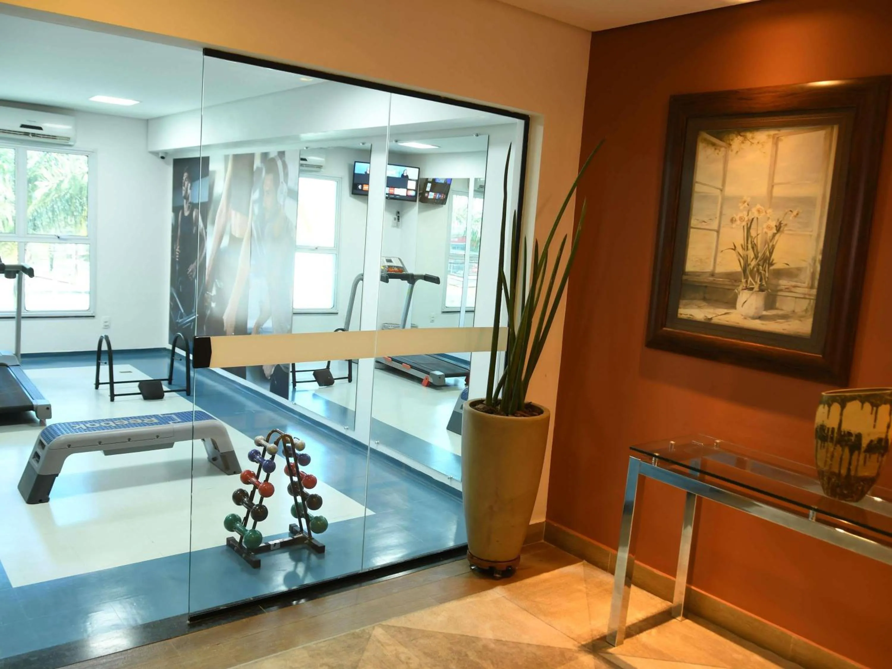 Fitness centre/facilities in Hotel Araraquara By Mercure