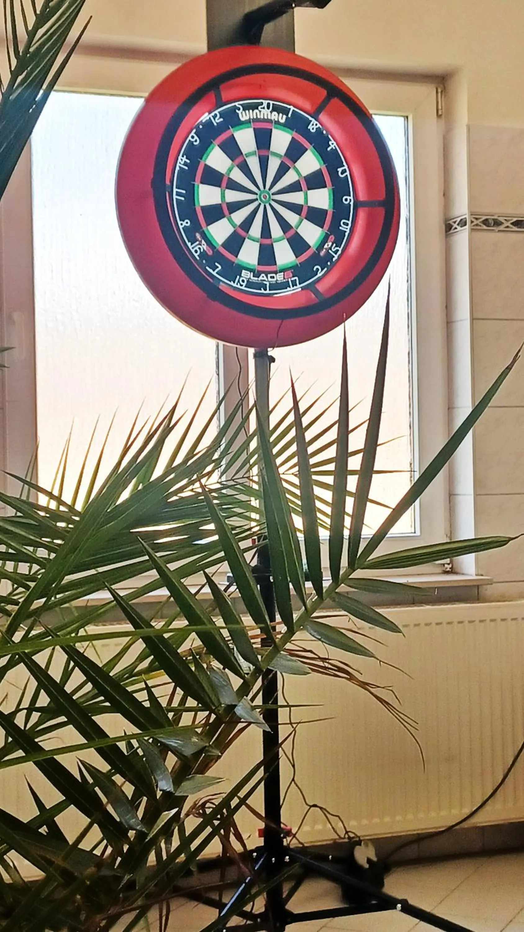 Darts in Haus Waldesruh