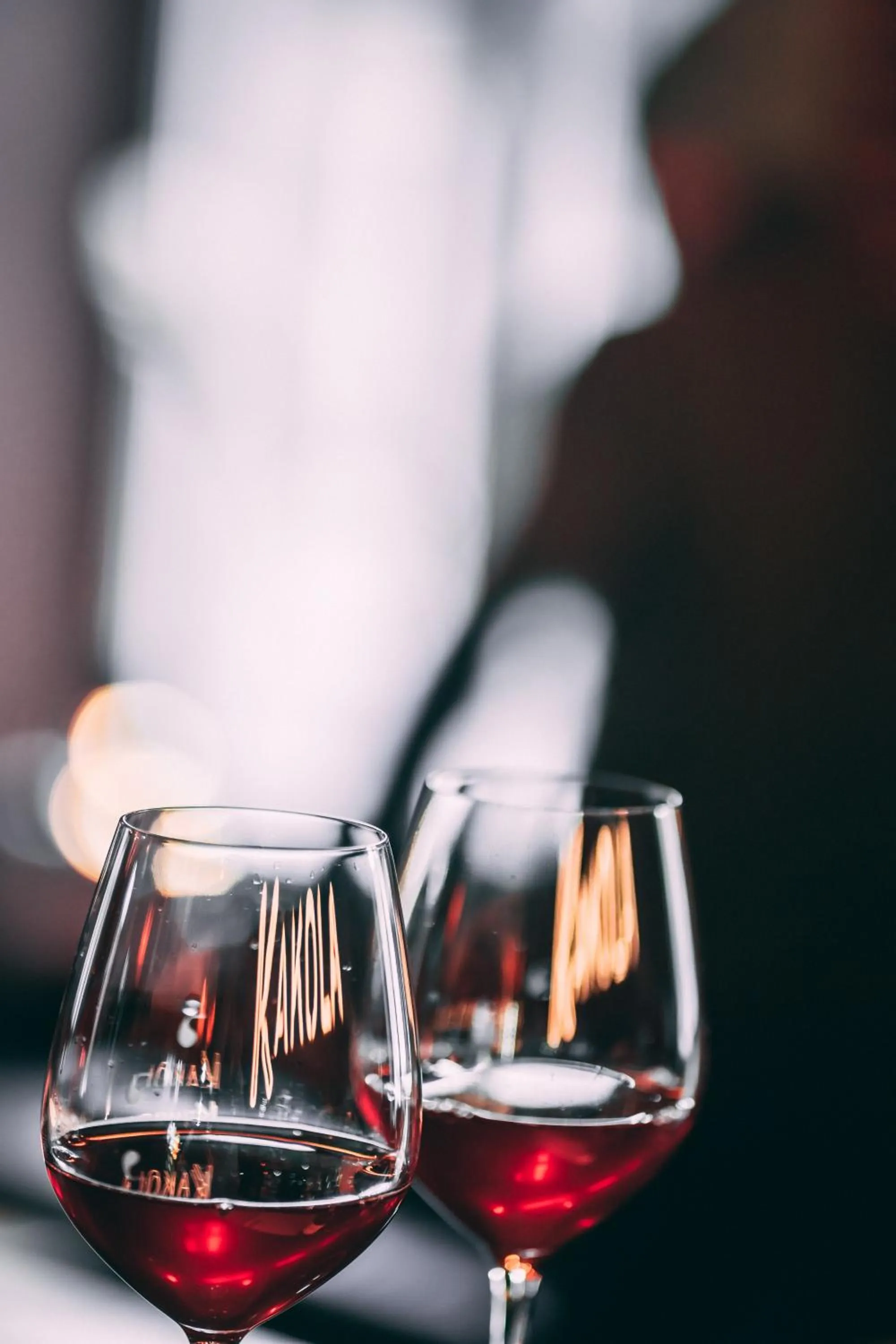 Lounge or bar in Hotel Kakola