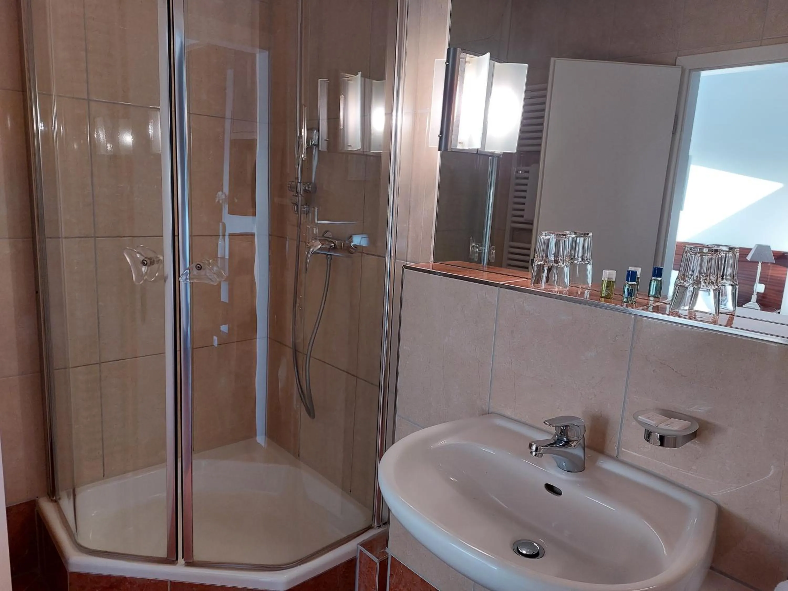 Shower in Hotel Friederike