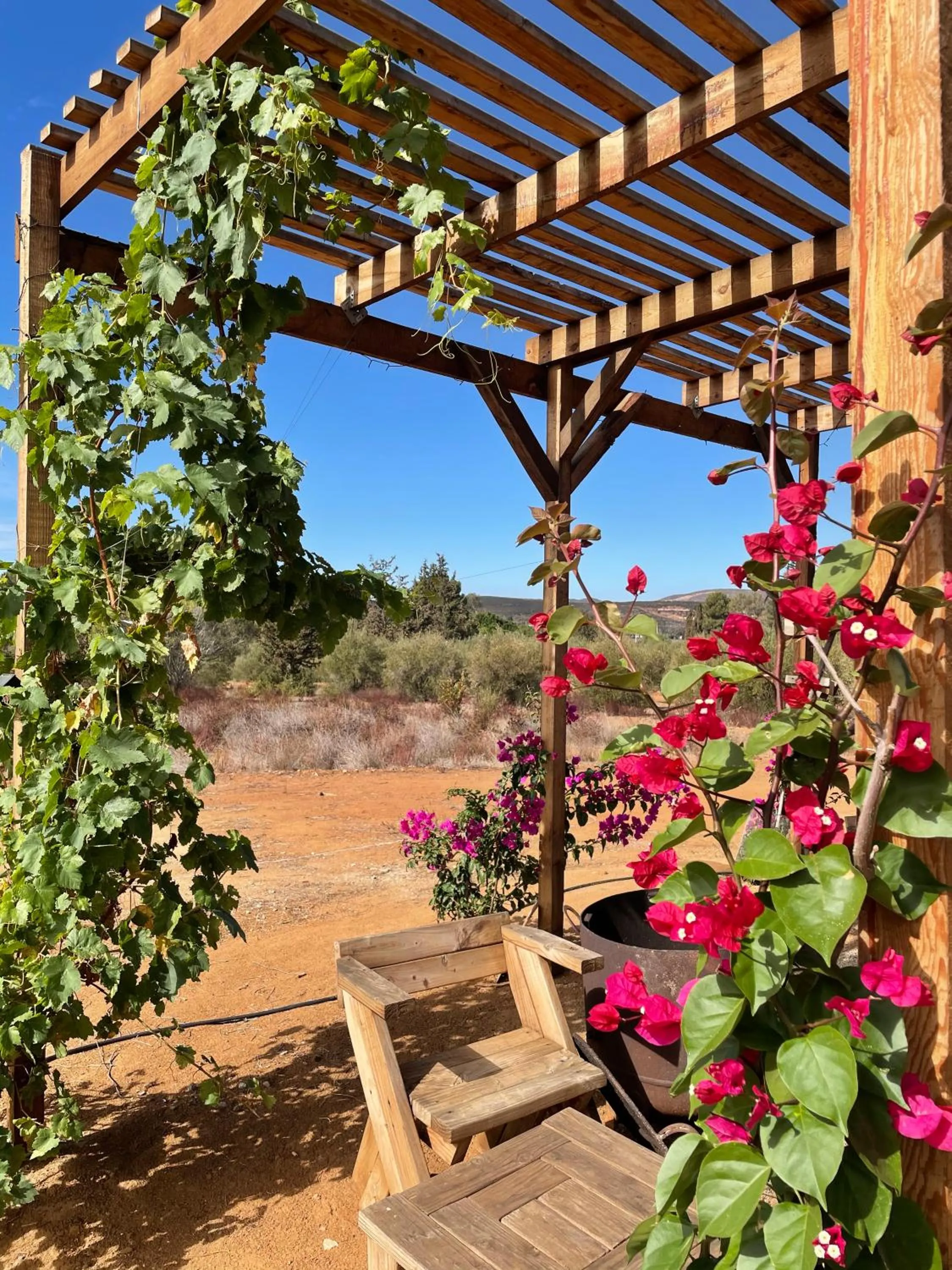 fireplace in Cabaña San Tony