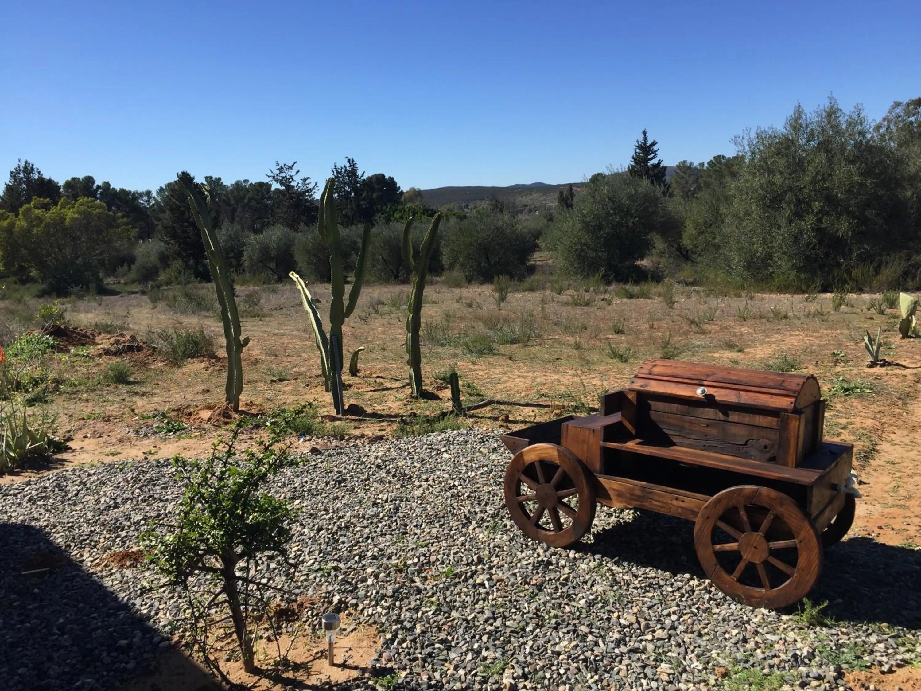 Garden view in Cabaña San Tony
