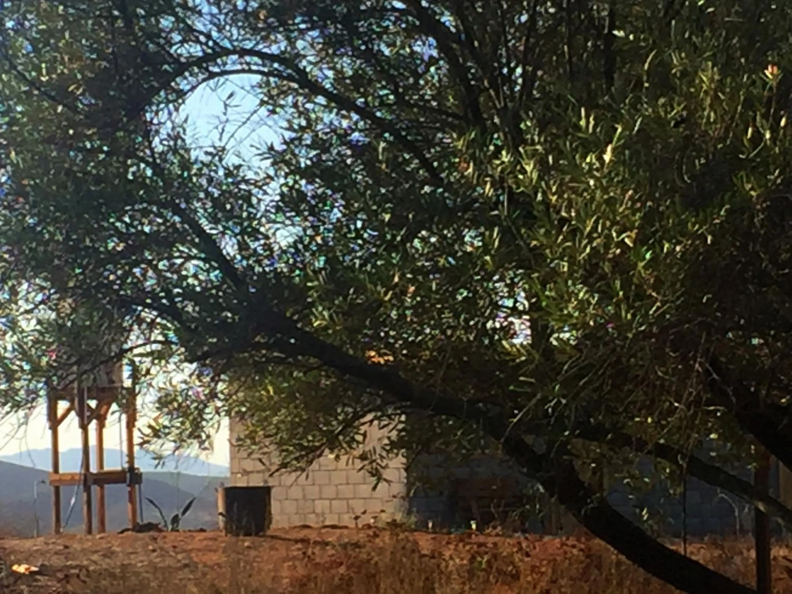 Garden view in Cabaña San Tony