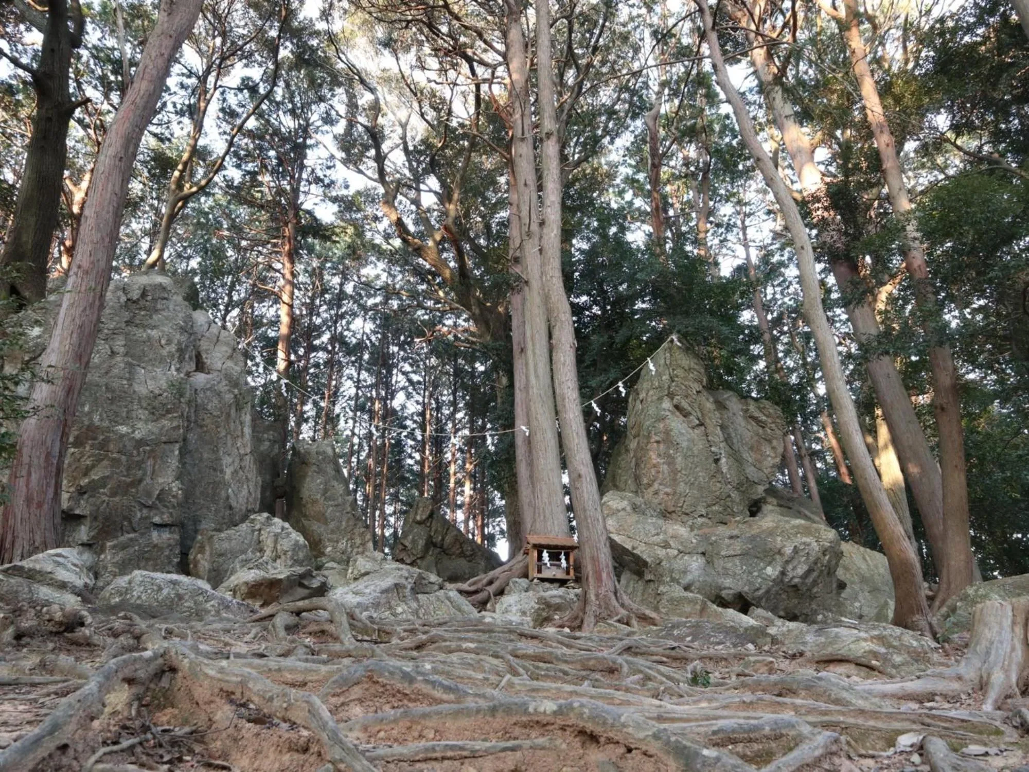 Nearby landmark in Hamamatsu Station Hotel