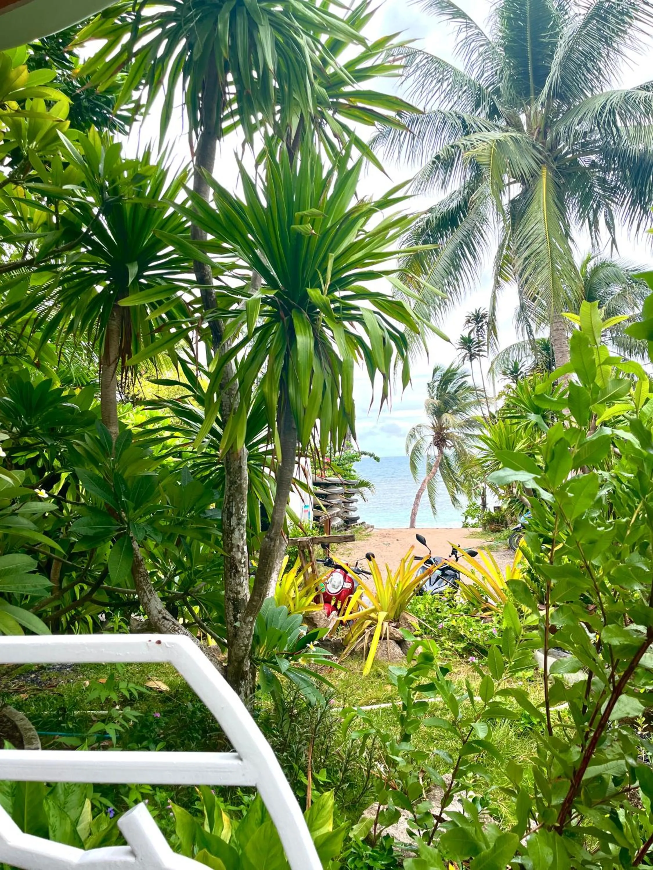 Beach in AC 2 Resort