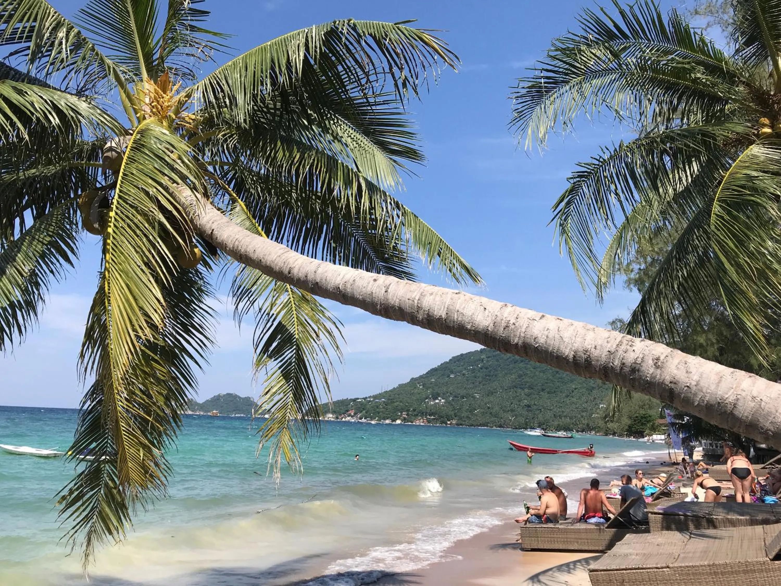 Beach in AC 2 Resort