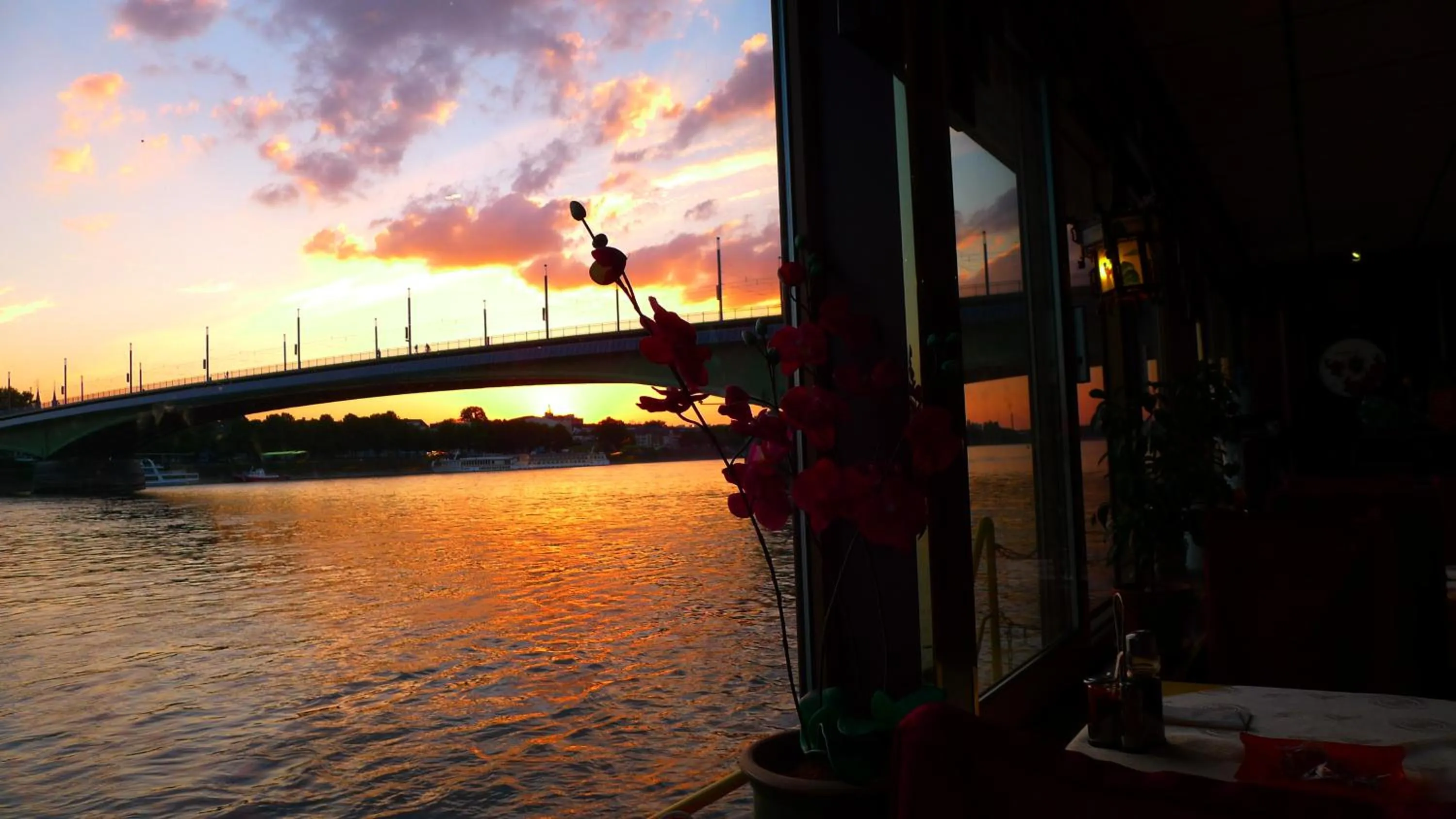 Neighbourhood in Hotel Mercedes City