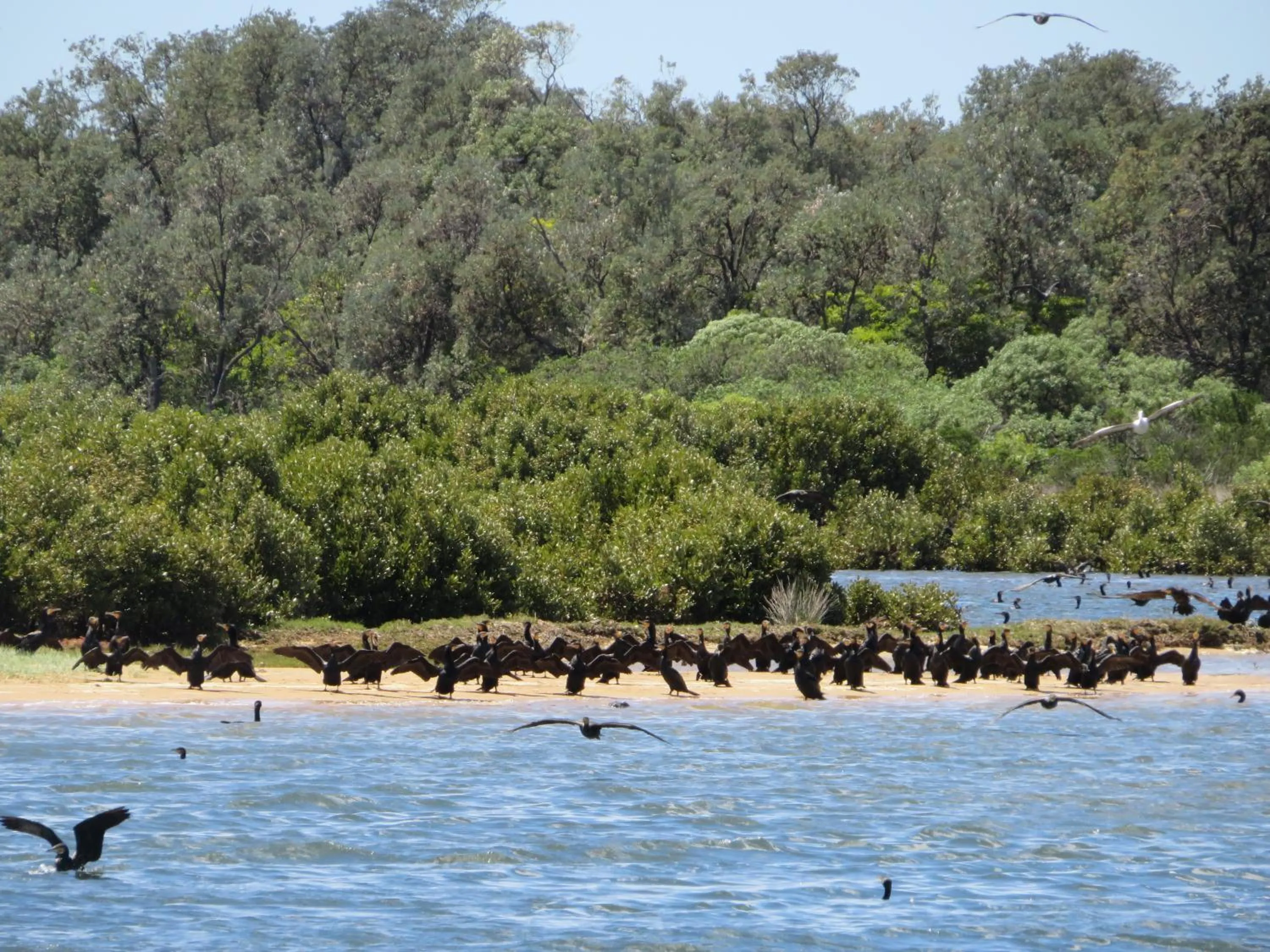 Natural landscape in Lakes Entrance Waterfront Cottages with King Beds