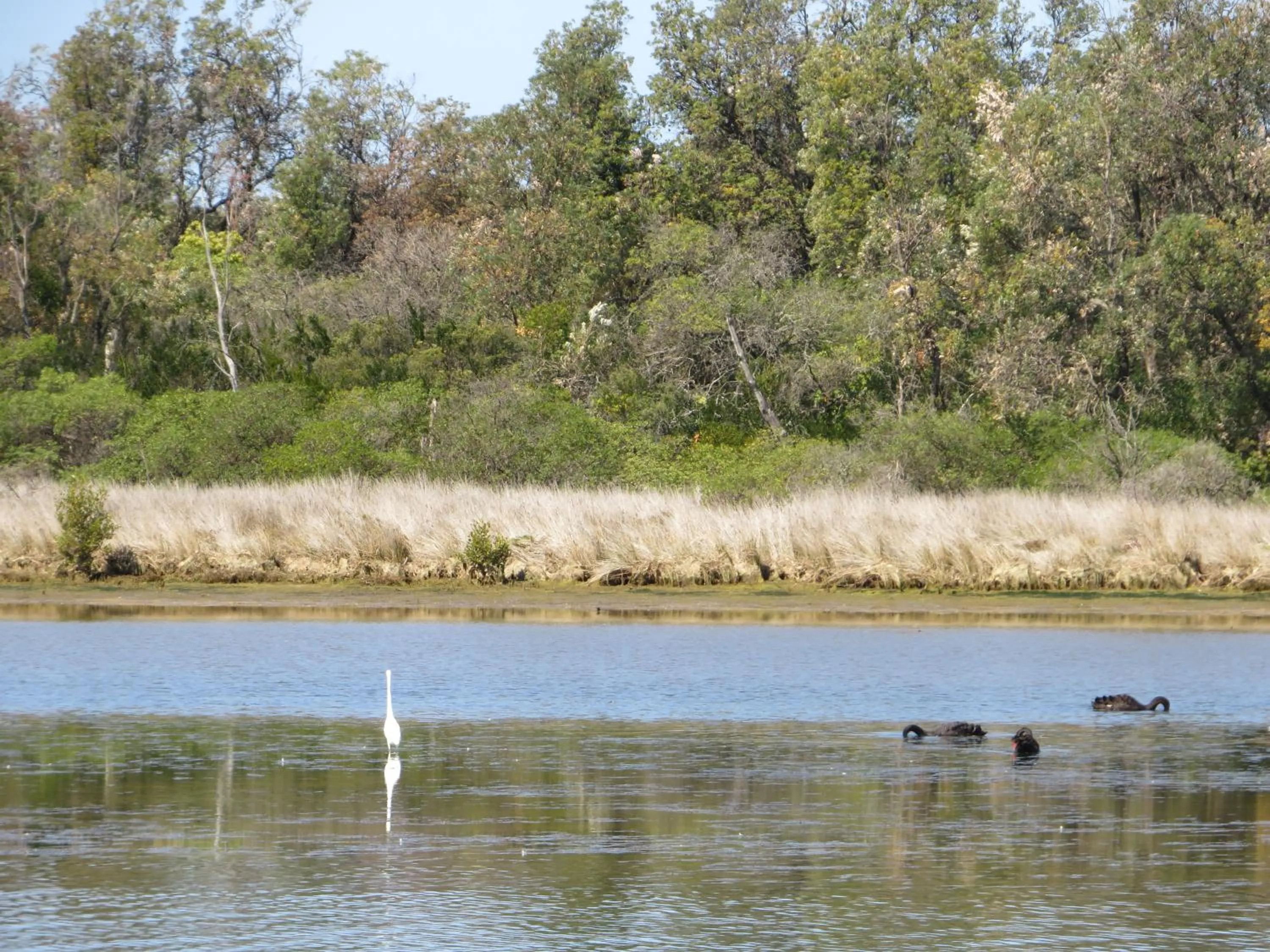 Natural landscape in Lakes Entrance Waterfront Cottages with King Beds