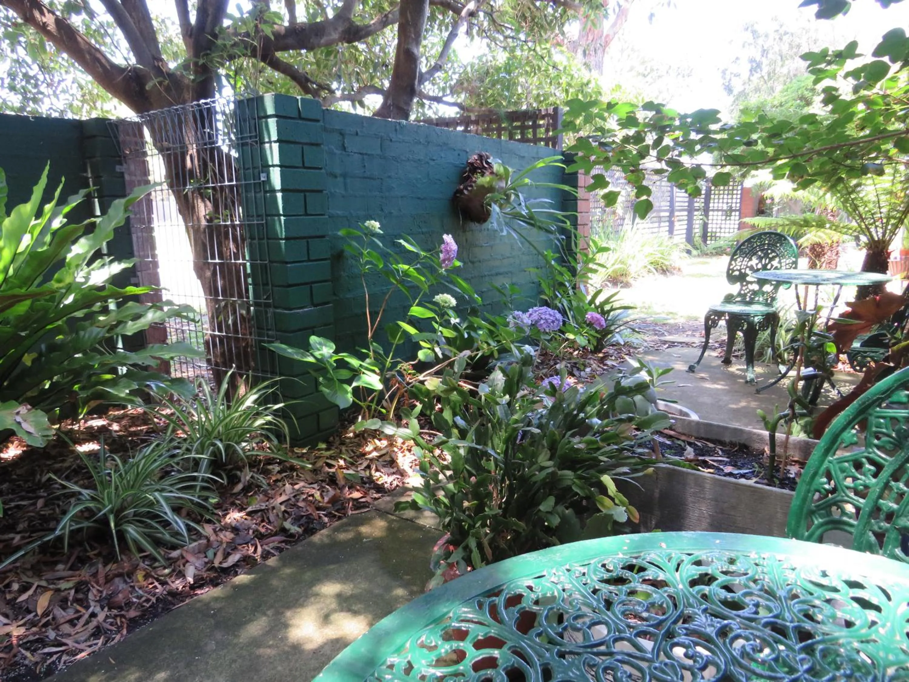 Garden in Lakes Entrance Waterfront Cottages with King Beds