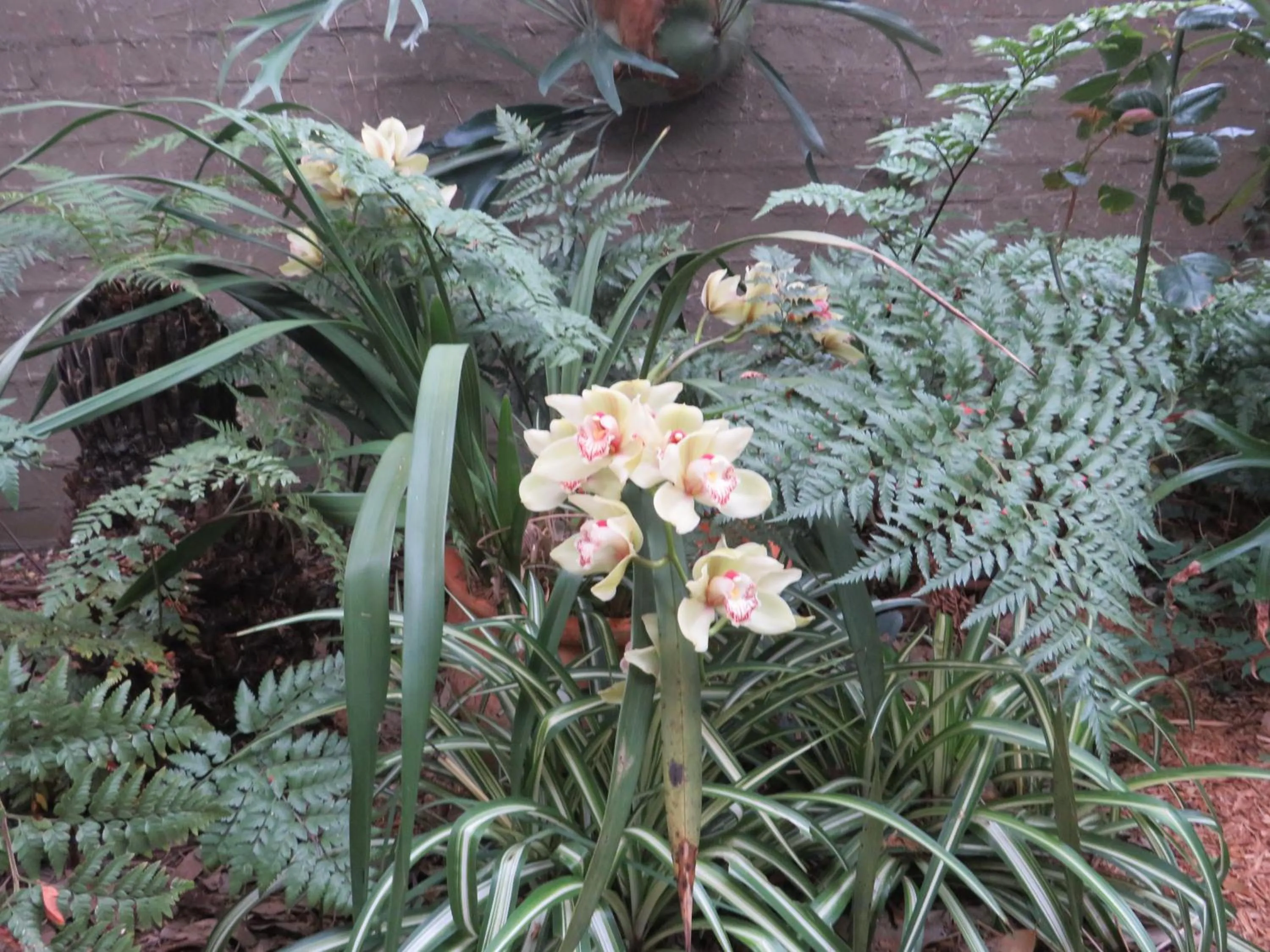 Garden in Lakes Entrance Waterfront Cottages with King Beds