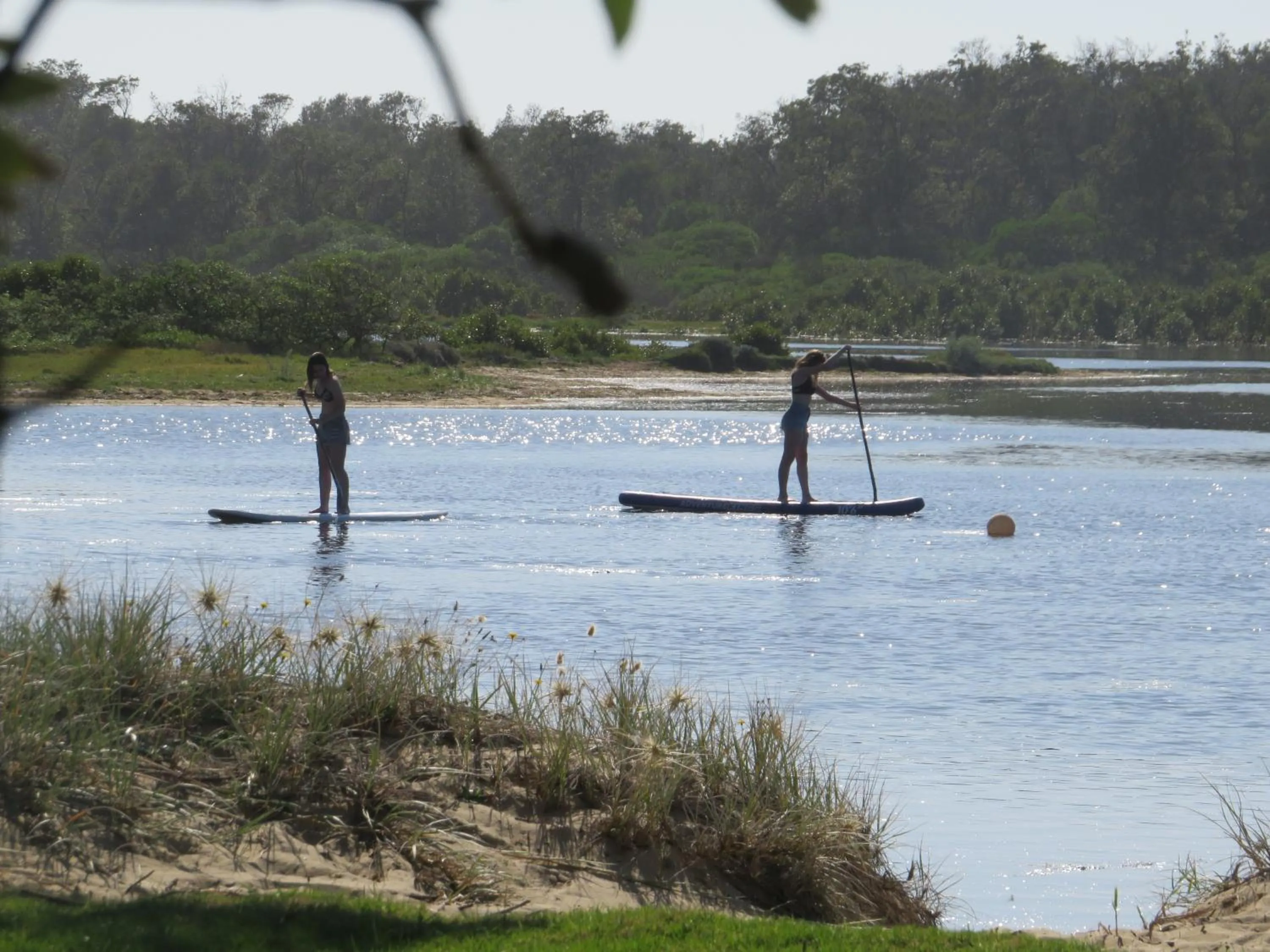 Natural landscape in Lakes Entrance Waterfront Cottages with King Beds
