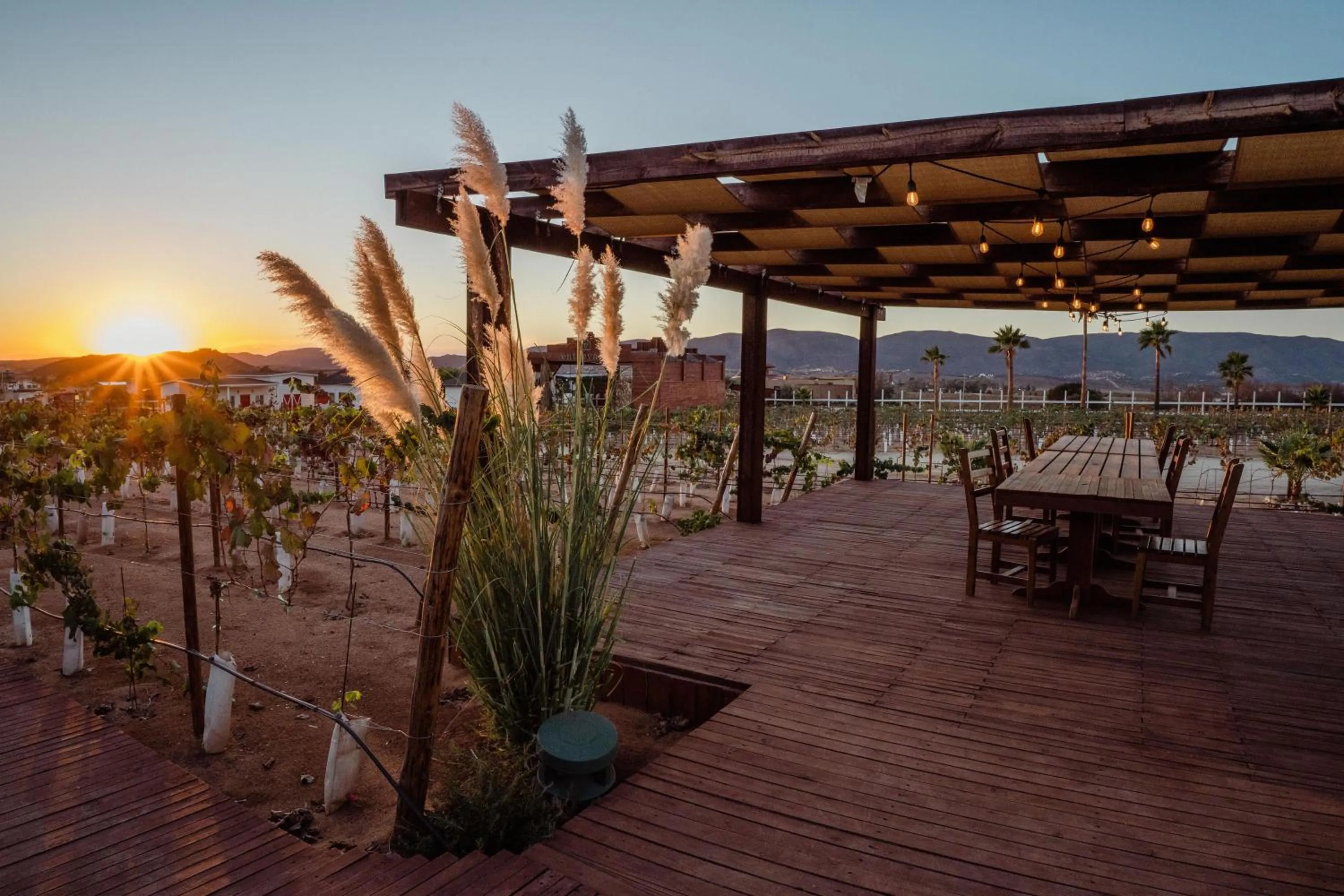 Natural landscape in Entrevalle Hotel Boutique