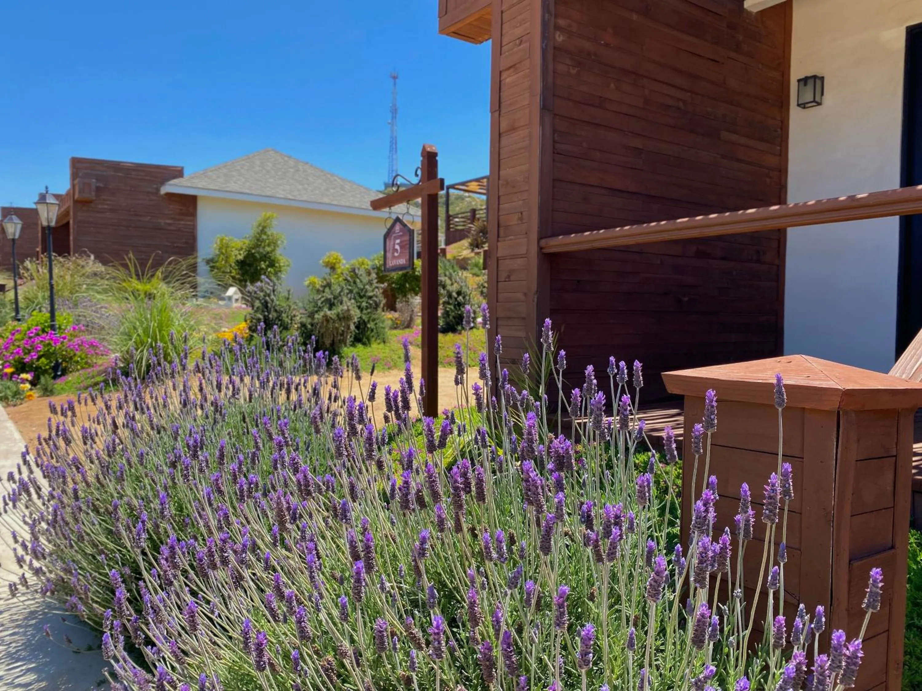 Natural landscape in Entrevalle Hotel Boutique