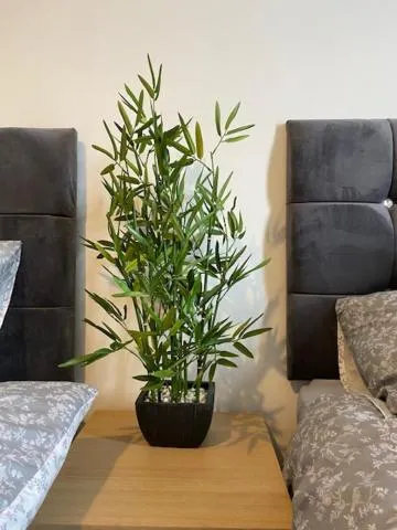 Bentley House with en-suites