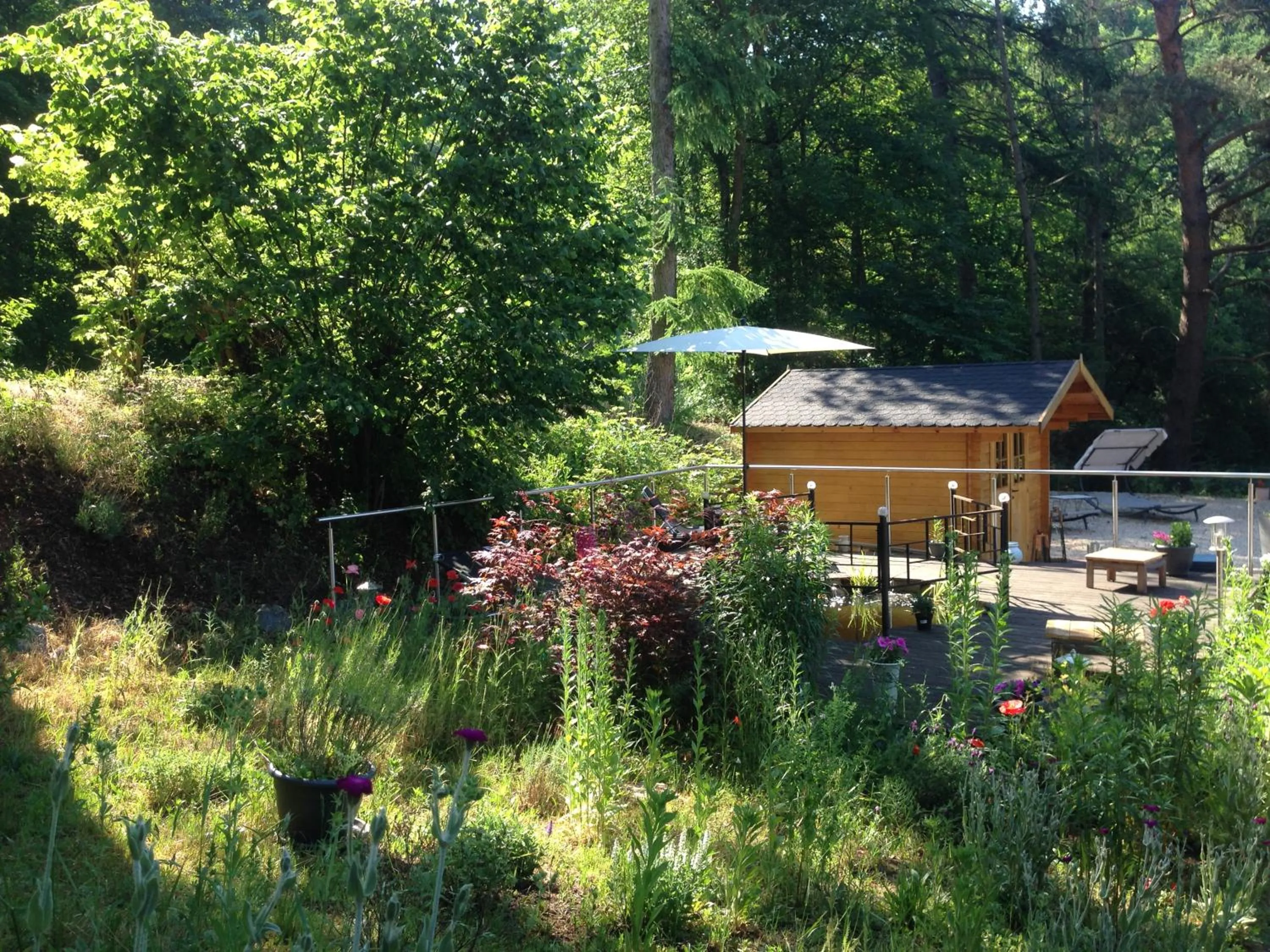 Garden in Hotel Sonnenhof