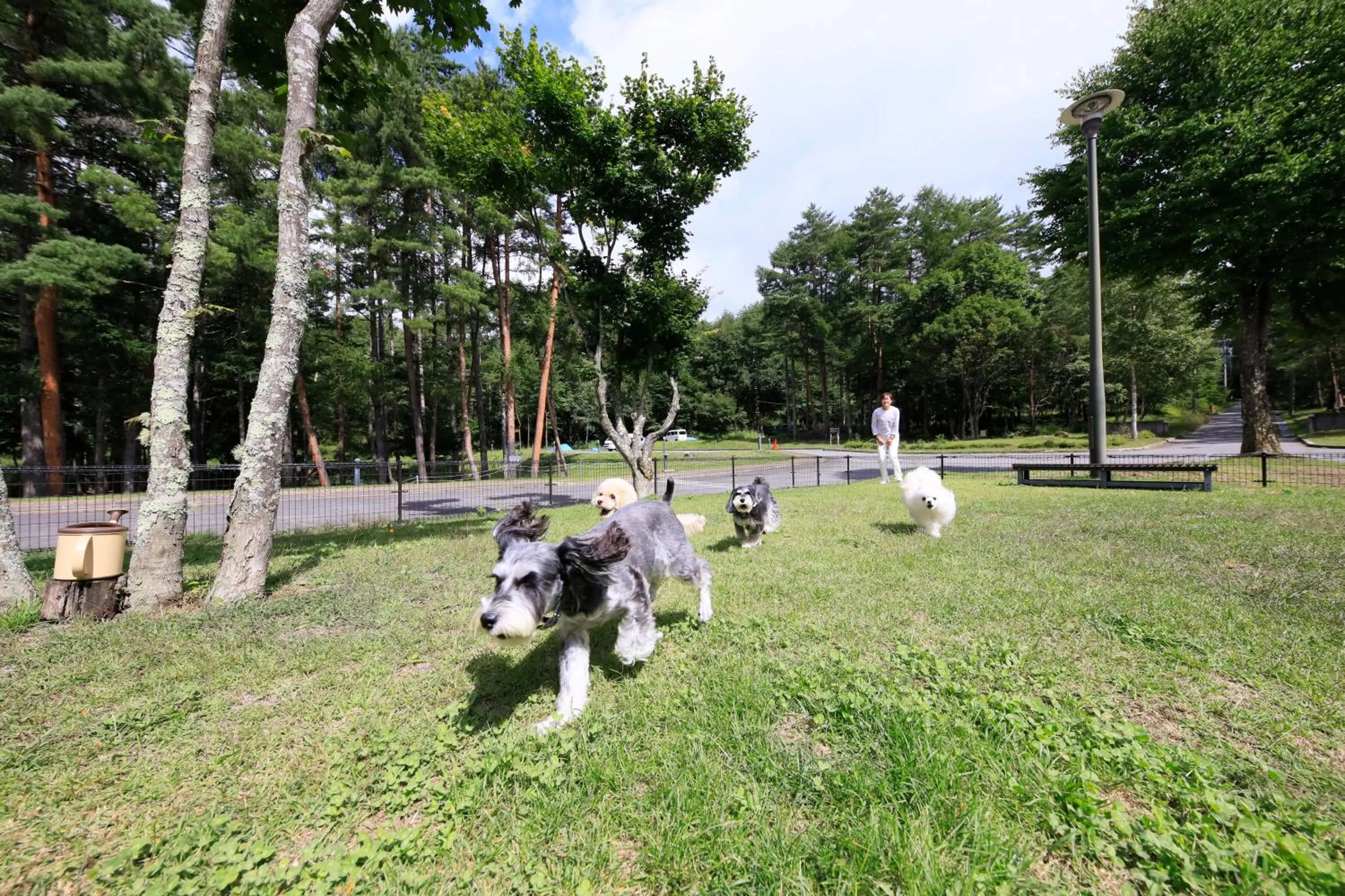Garden in Yutorelo Tateshina Hotel with DOGS