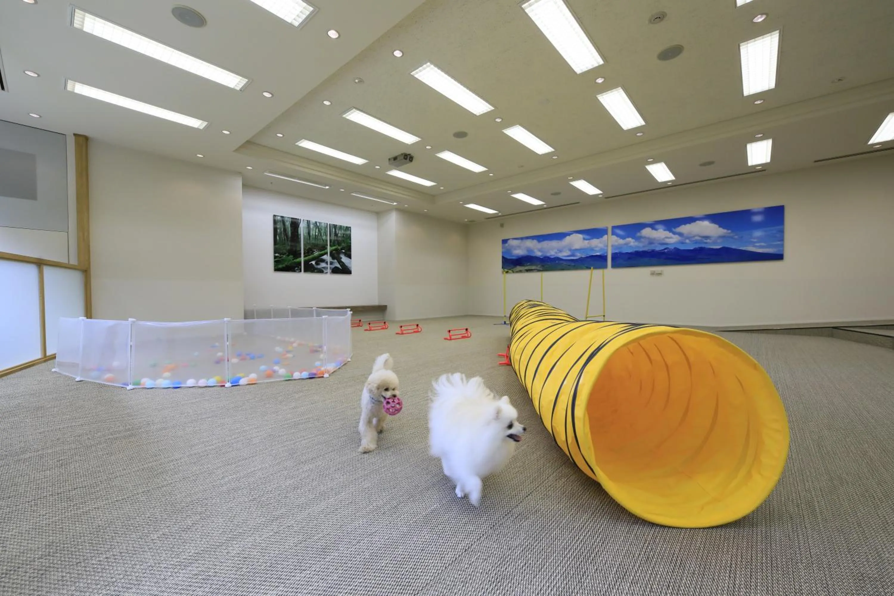 Other in Yutorelo Tateshina Hotel with DOGS