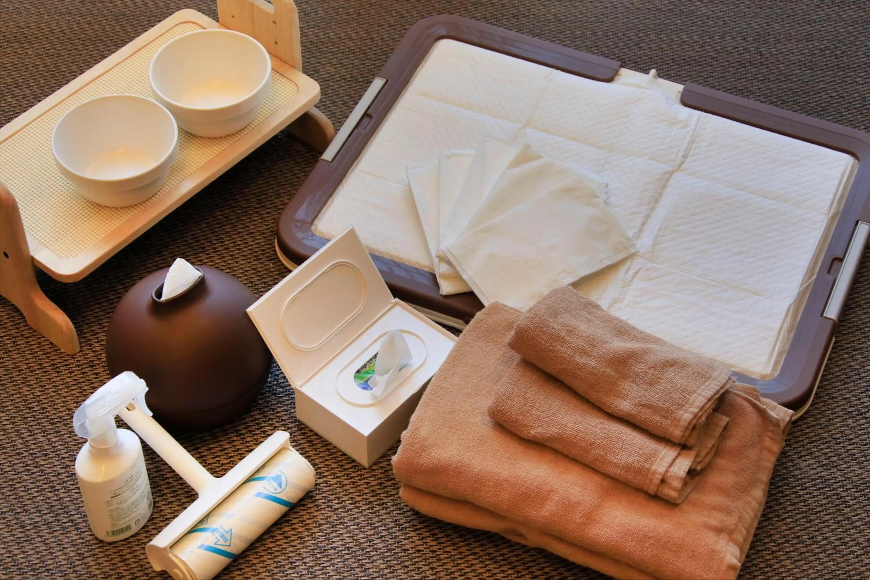 Other in Yutorelo Tateshina Hotel with DOGS