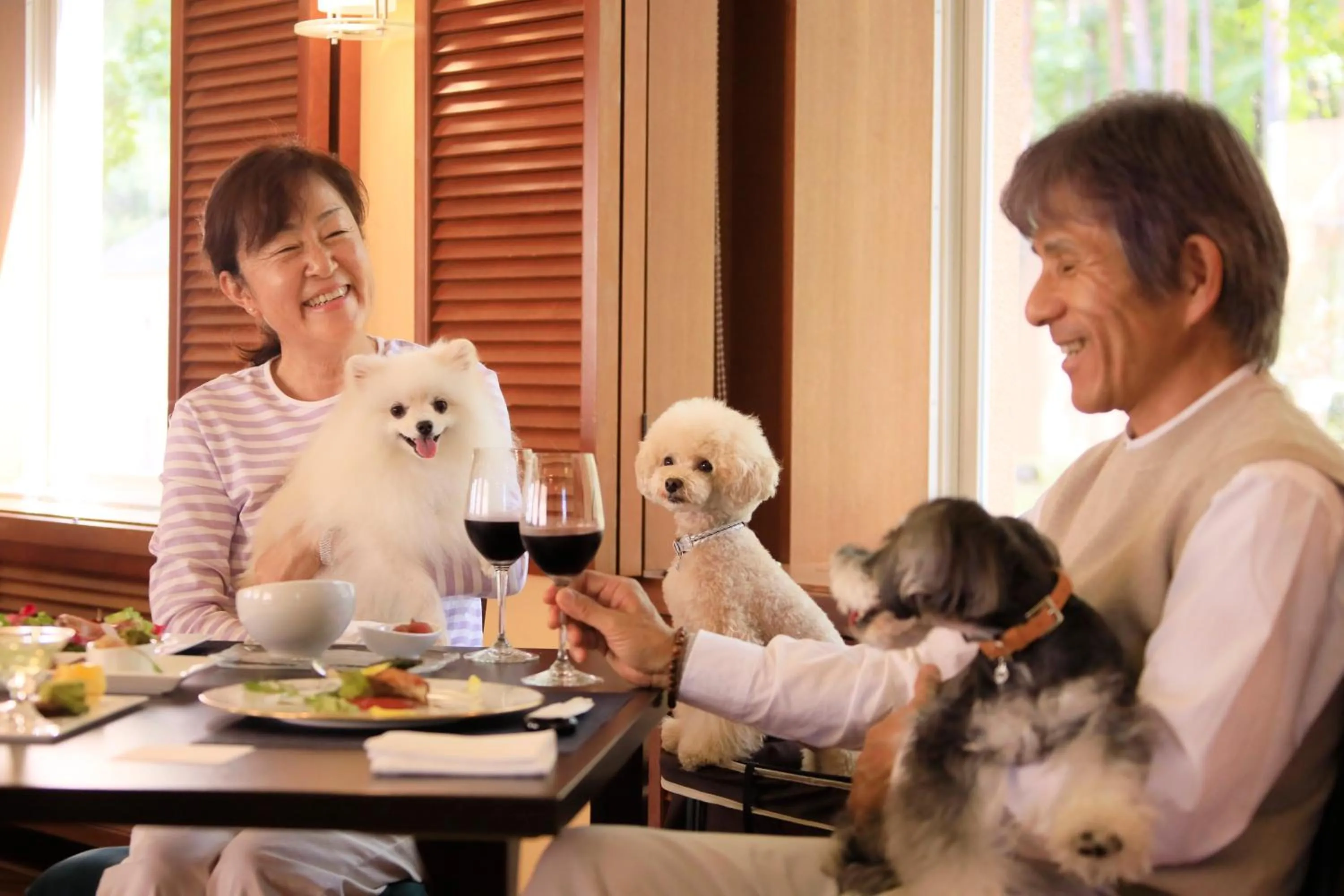 Restaurant/places to eat in Yutorelo Tateshina Hotel with DOGS