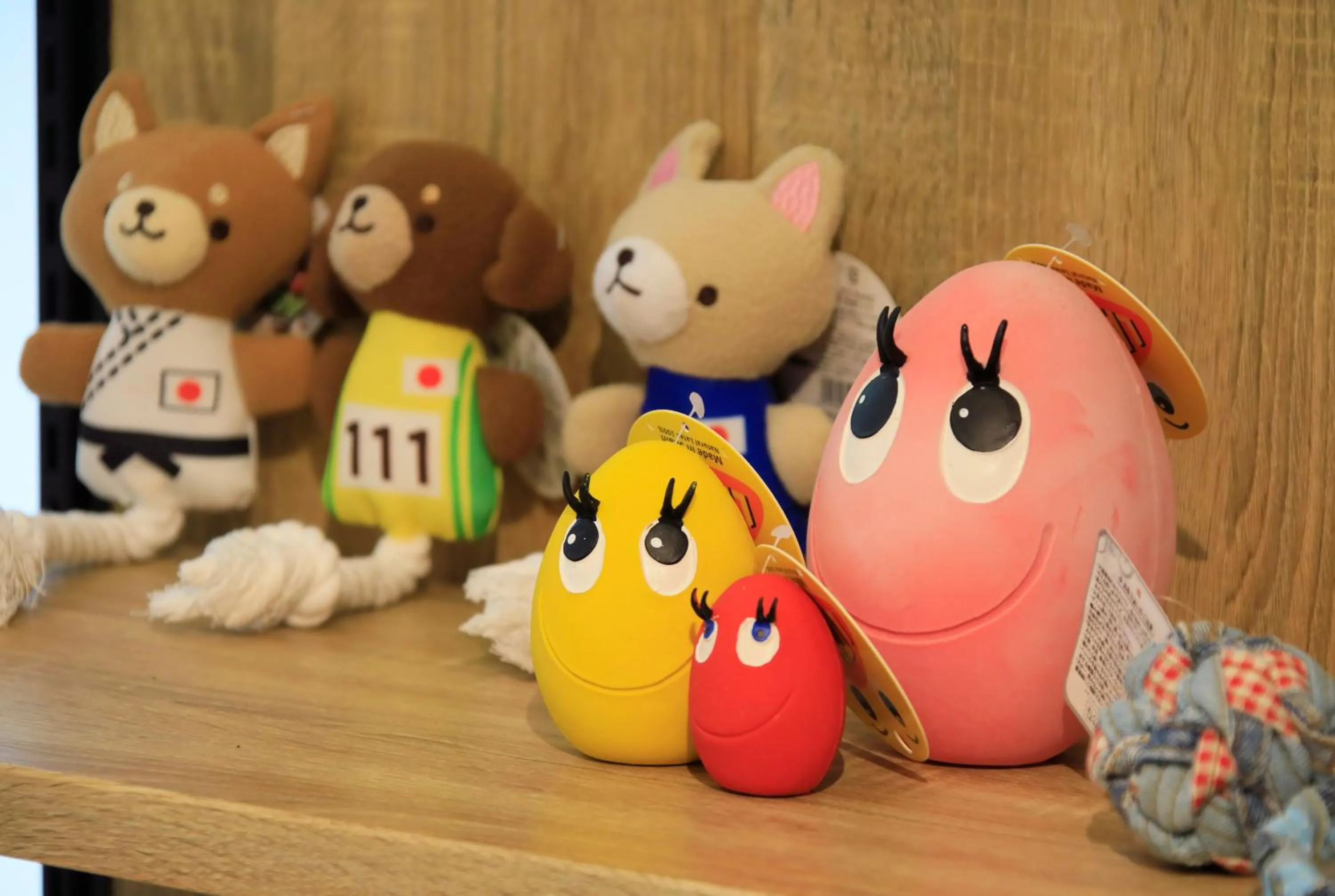 Other in Yutorelo Tateshina Hotel with DOGS