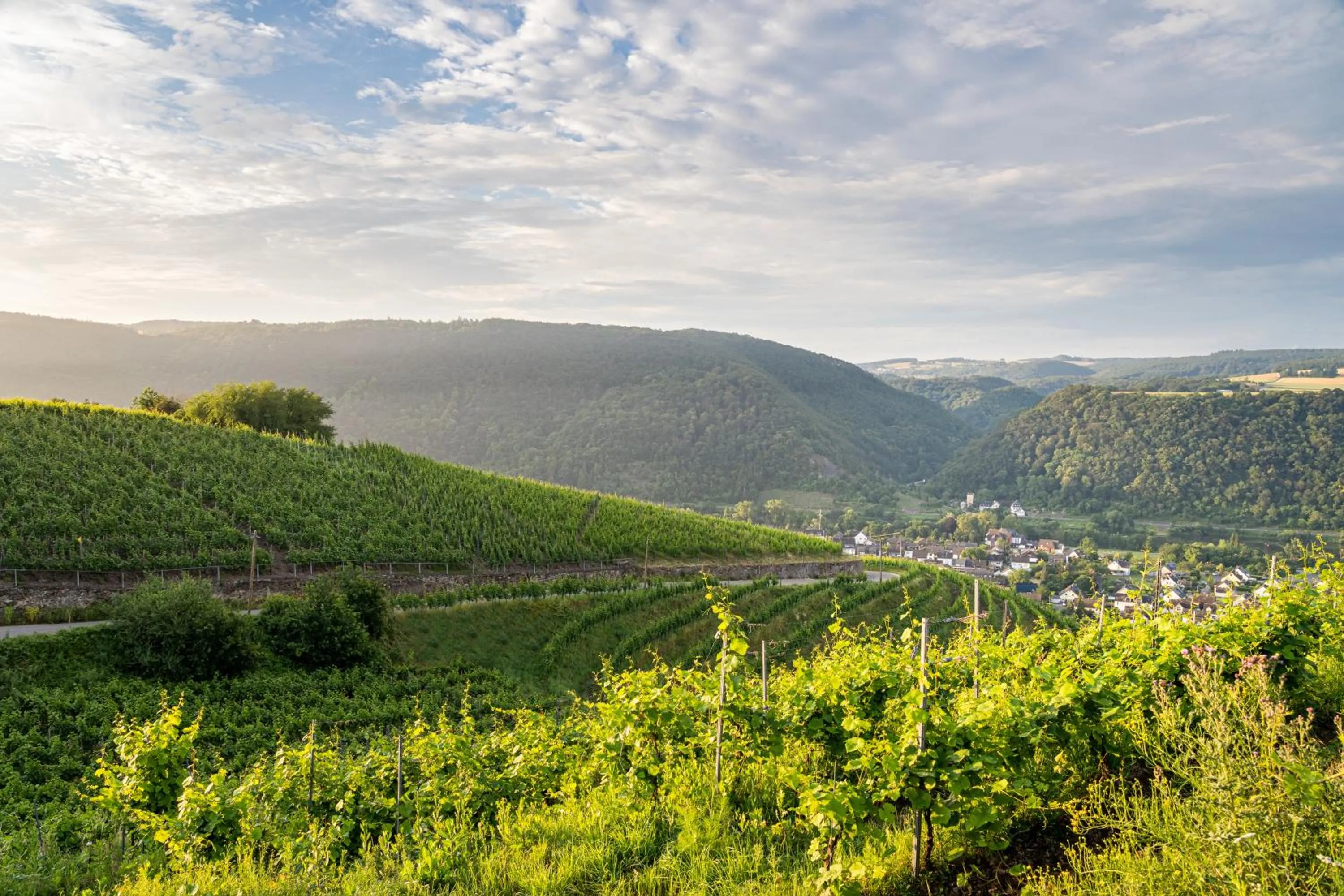 Staff in Hotel Moselblick
