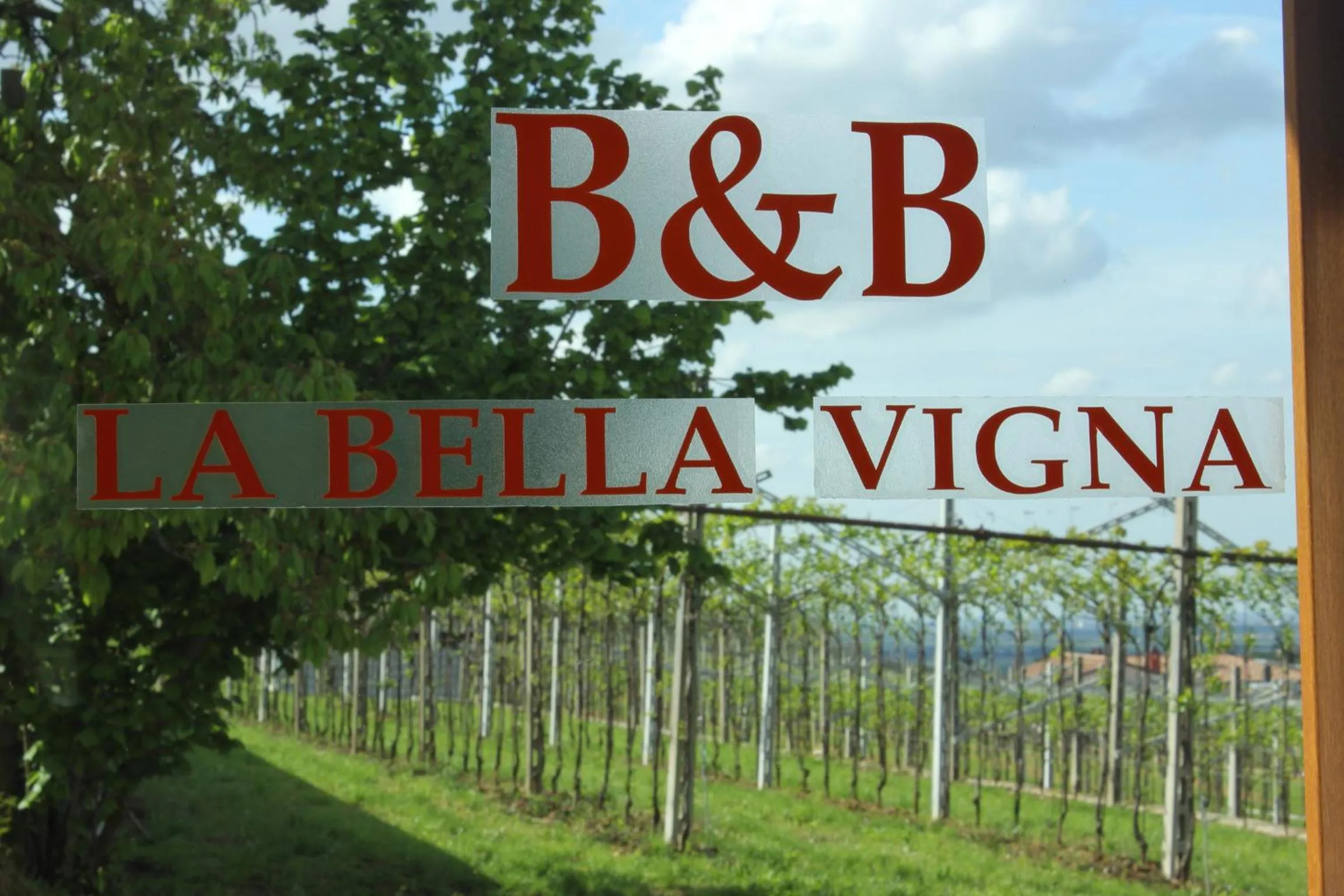 Spring in La Bella Vigna
