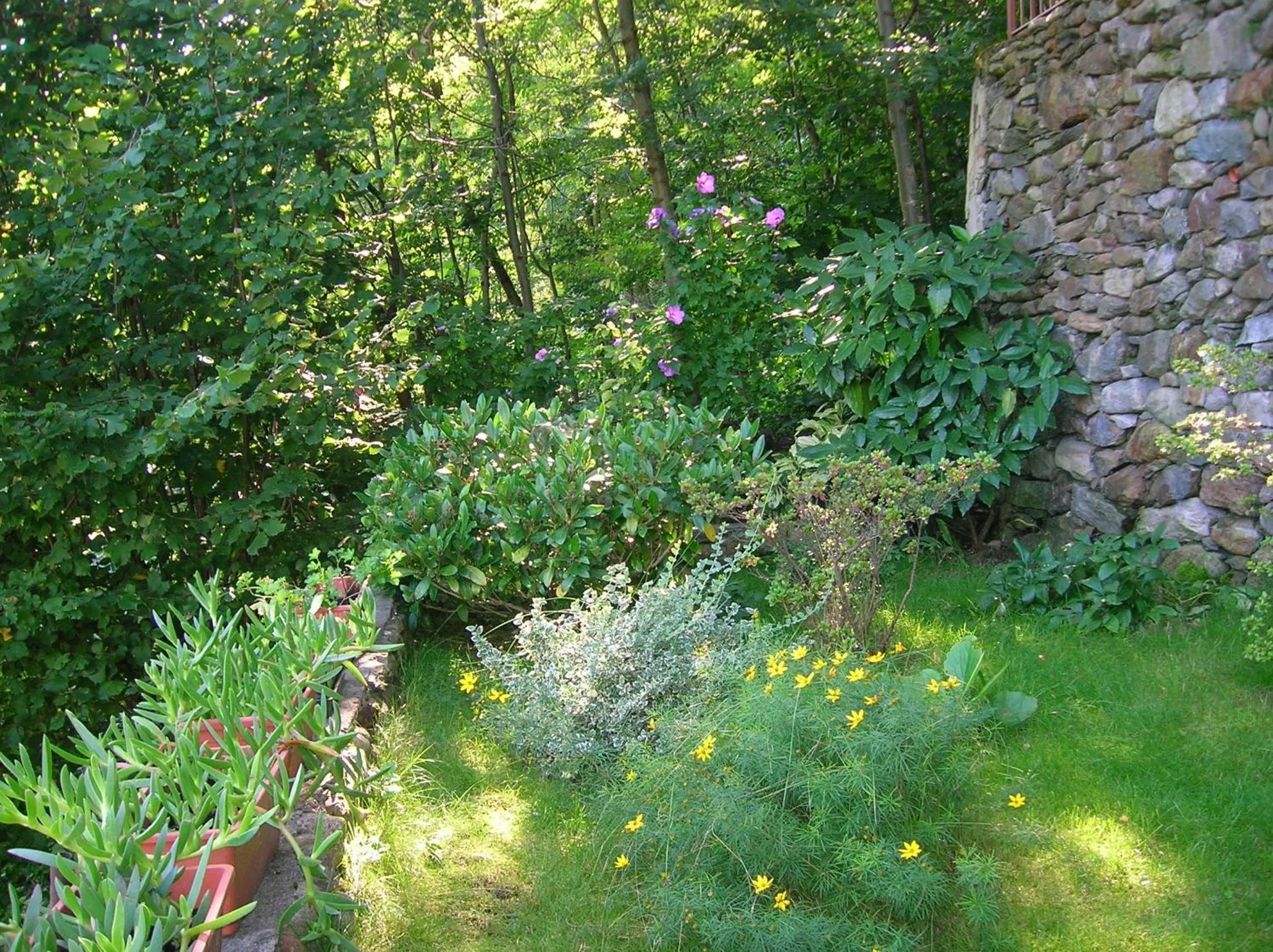 Garden view in Al Carotin