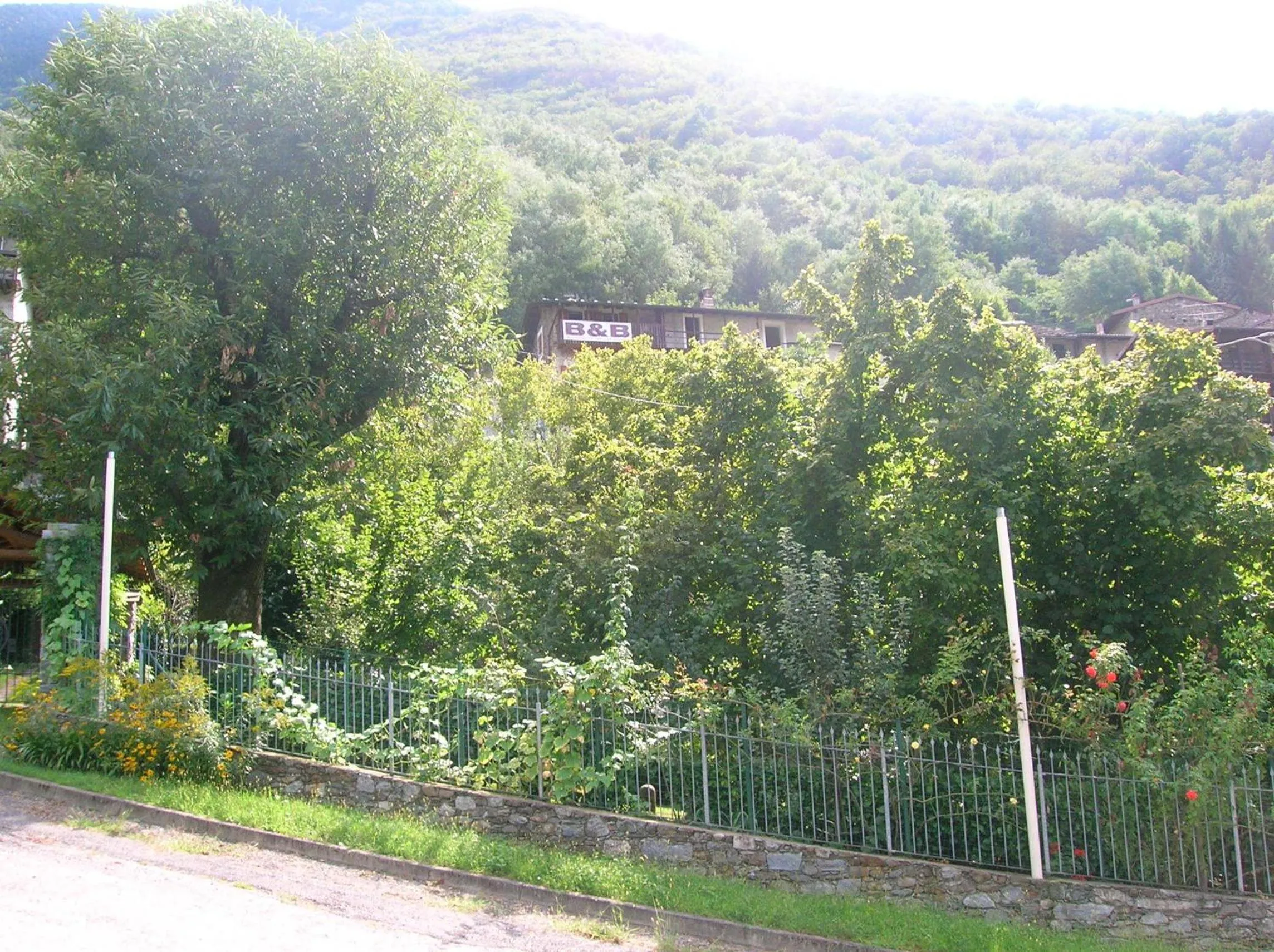 Neighbourhood in Al Carotin