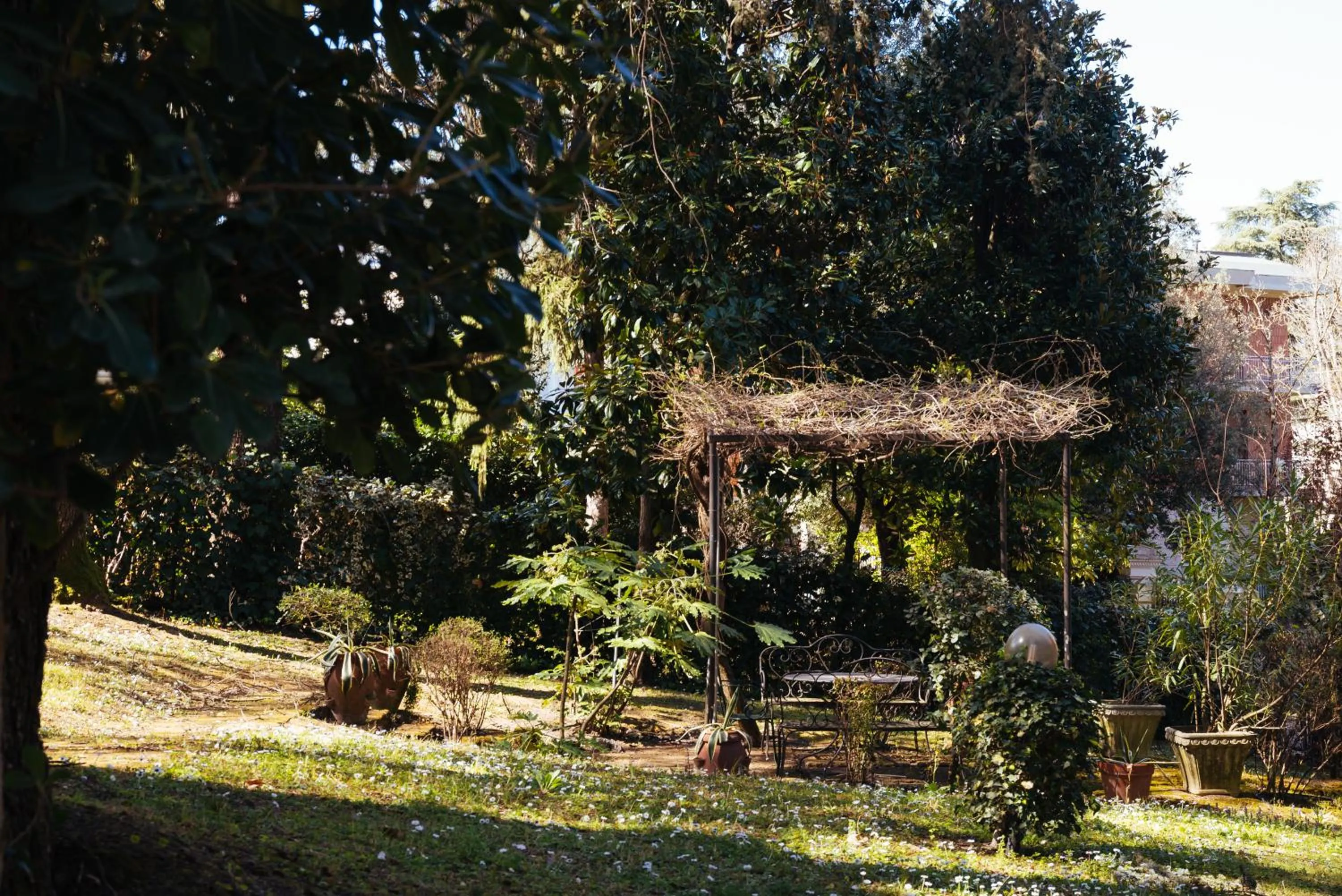Garden in Ai tre cedri B&B