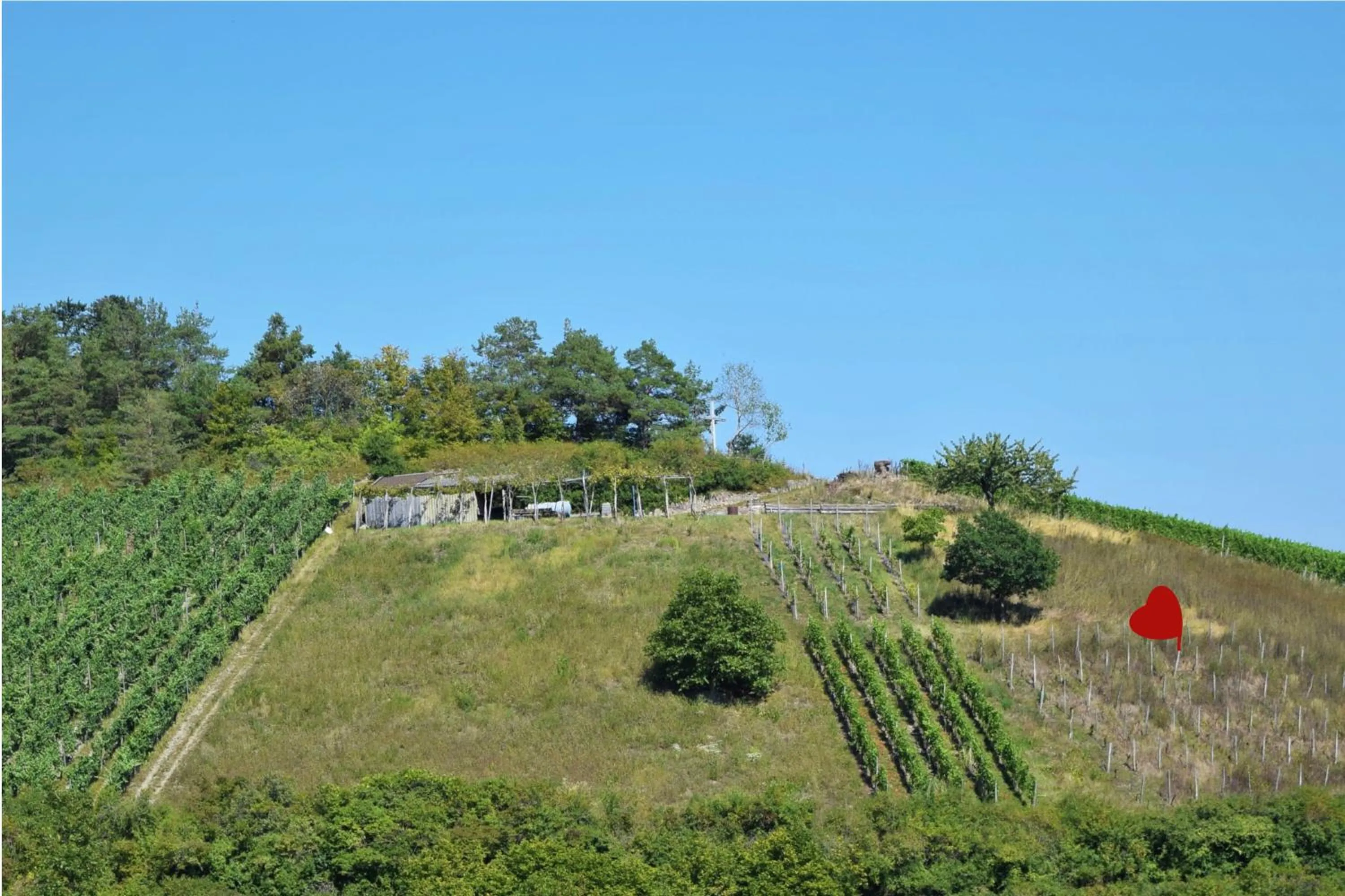 Nearby landmark in Gasthaus & Hotel Drei Lilien