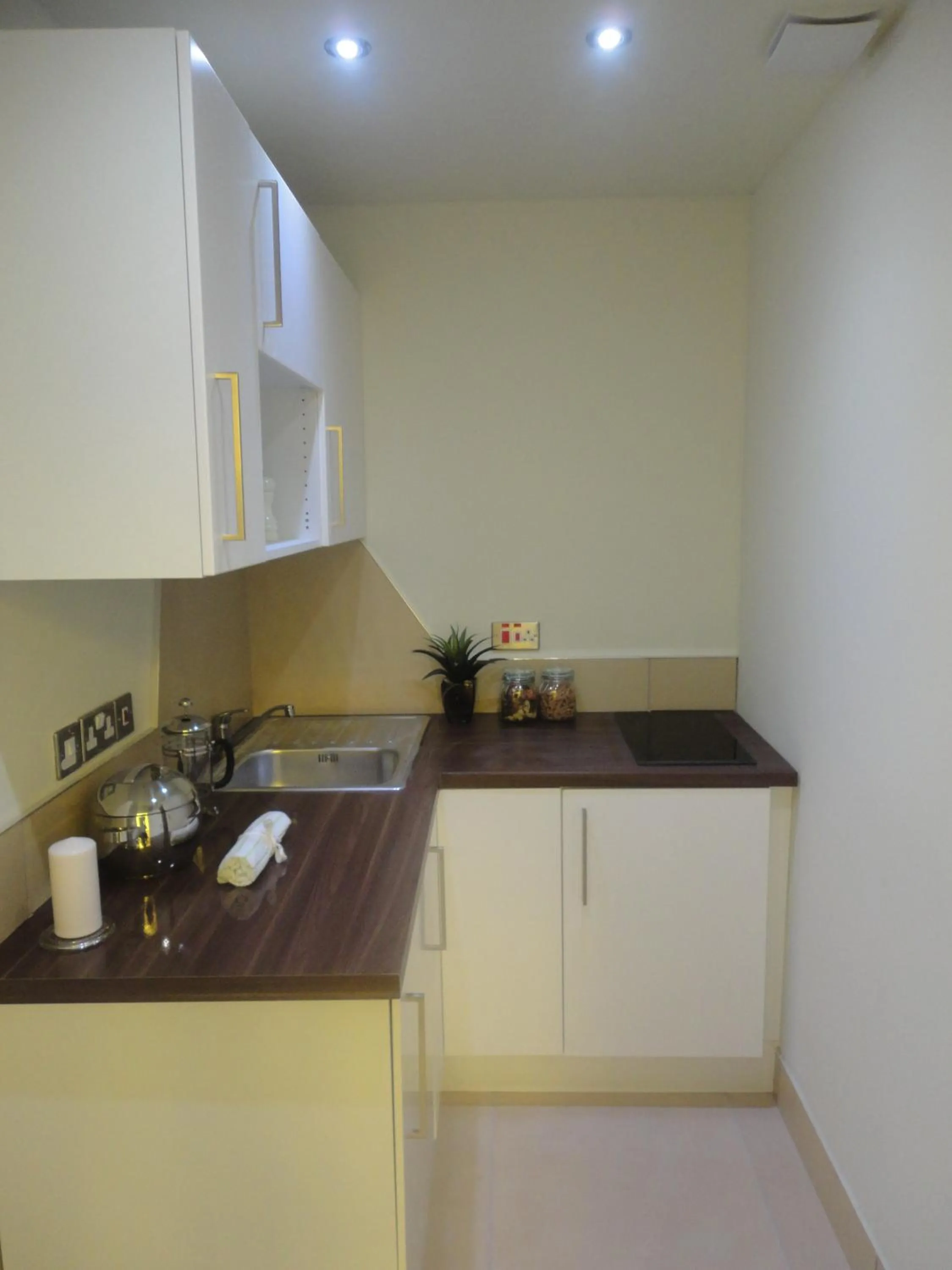 Kitchen or kitchenette in Palmerston Suites