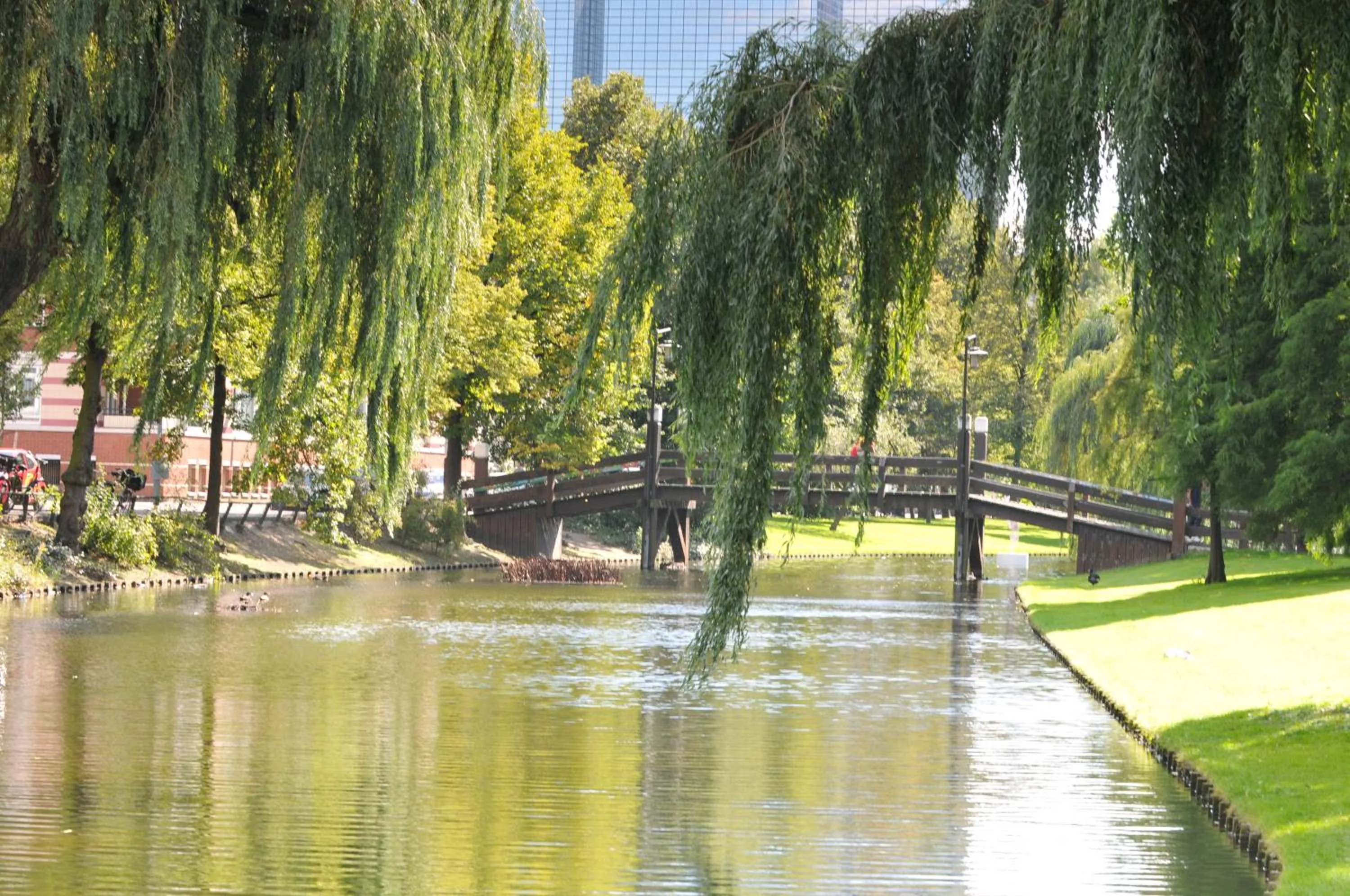Area and facilities in Hotel Bienvenue