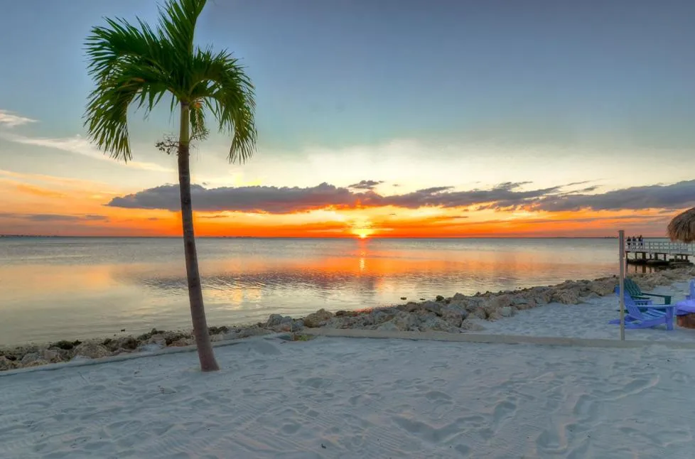 Sunset in 441-Waterfront, Amazing Views, WIFI, Pool and close to BUCS Stadium