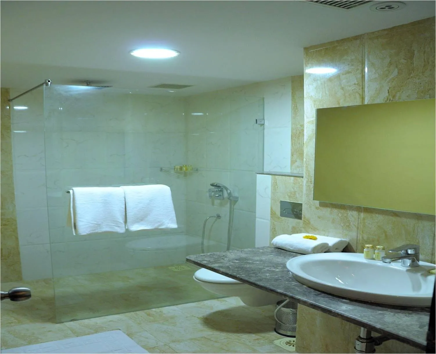 Shower in Zone Connect by The Park,Udaipur