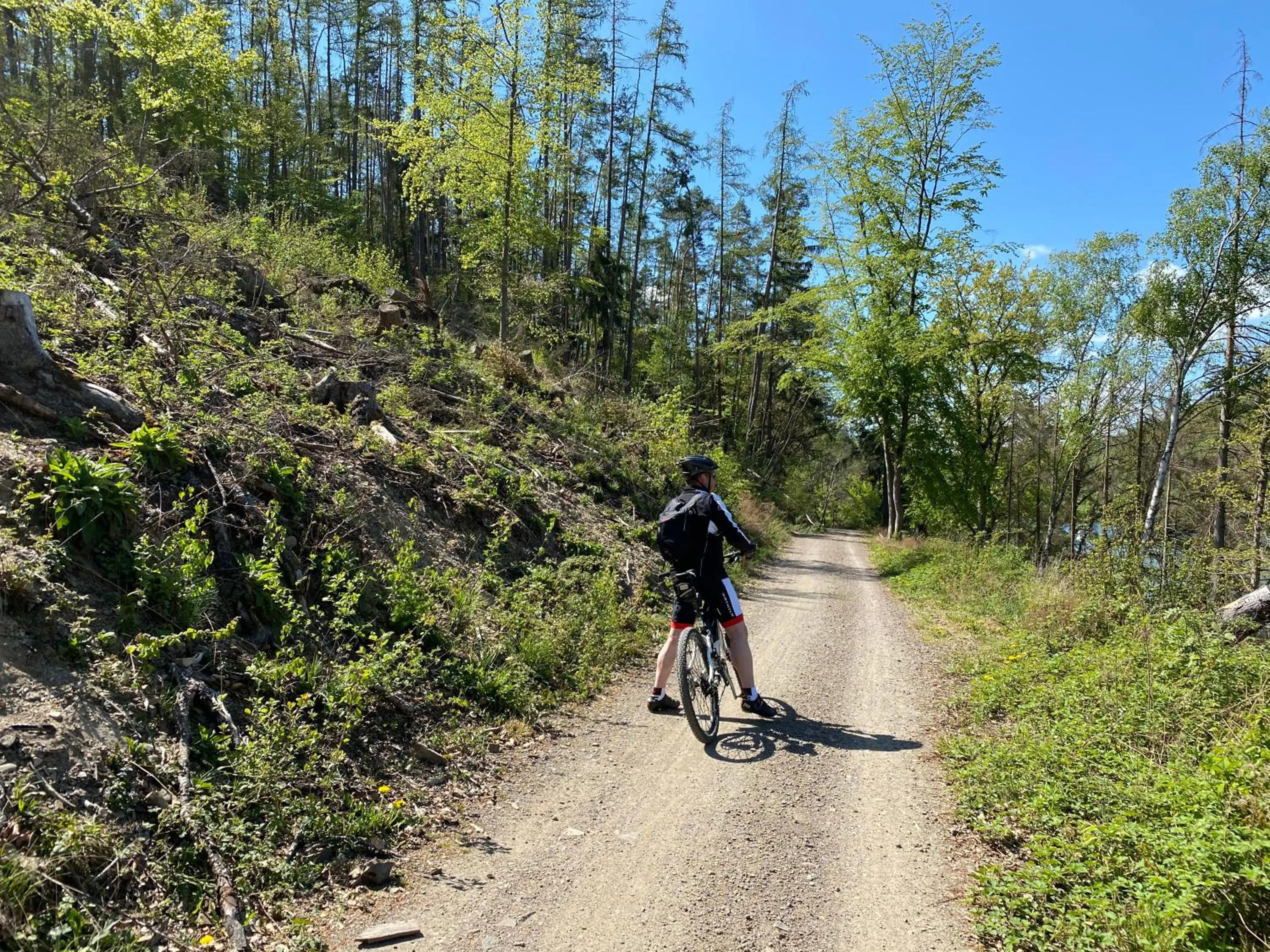 Cycling in Hotel Central
