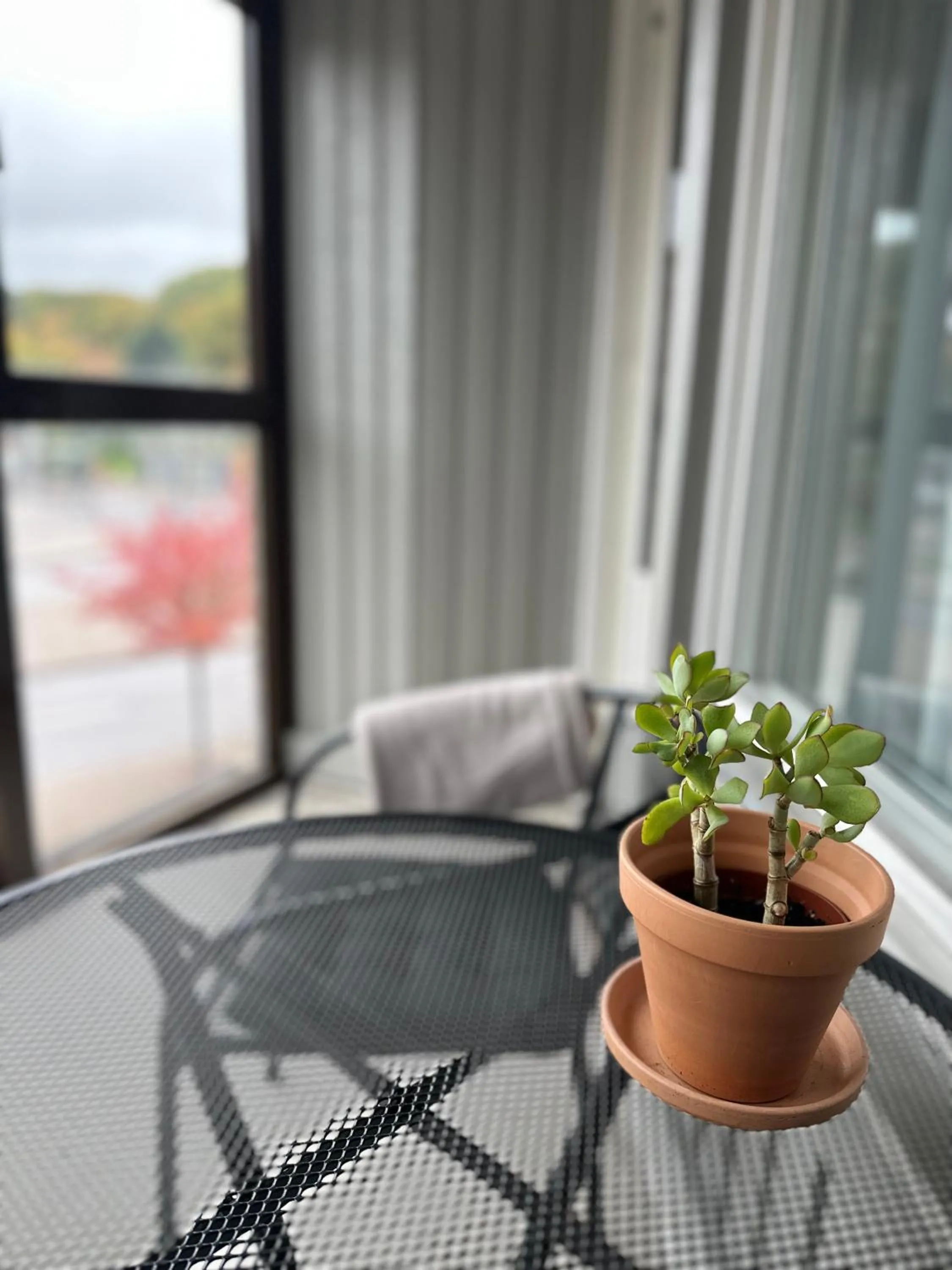 Balcony/Terrace in Linnéplatsens Hotell & Vandrarhem