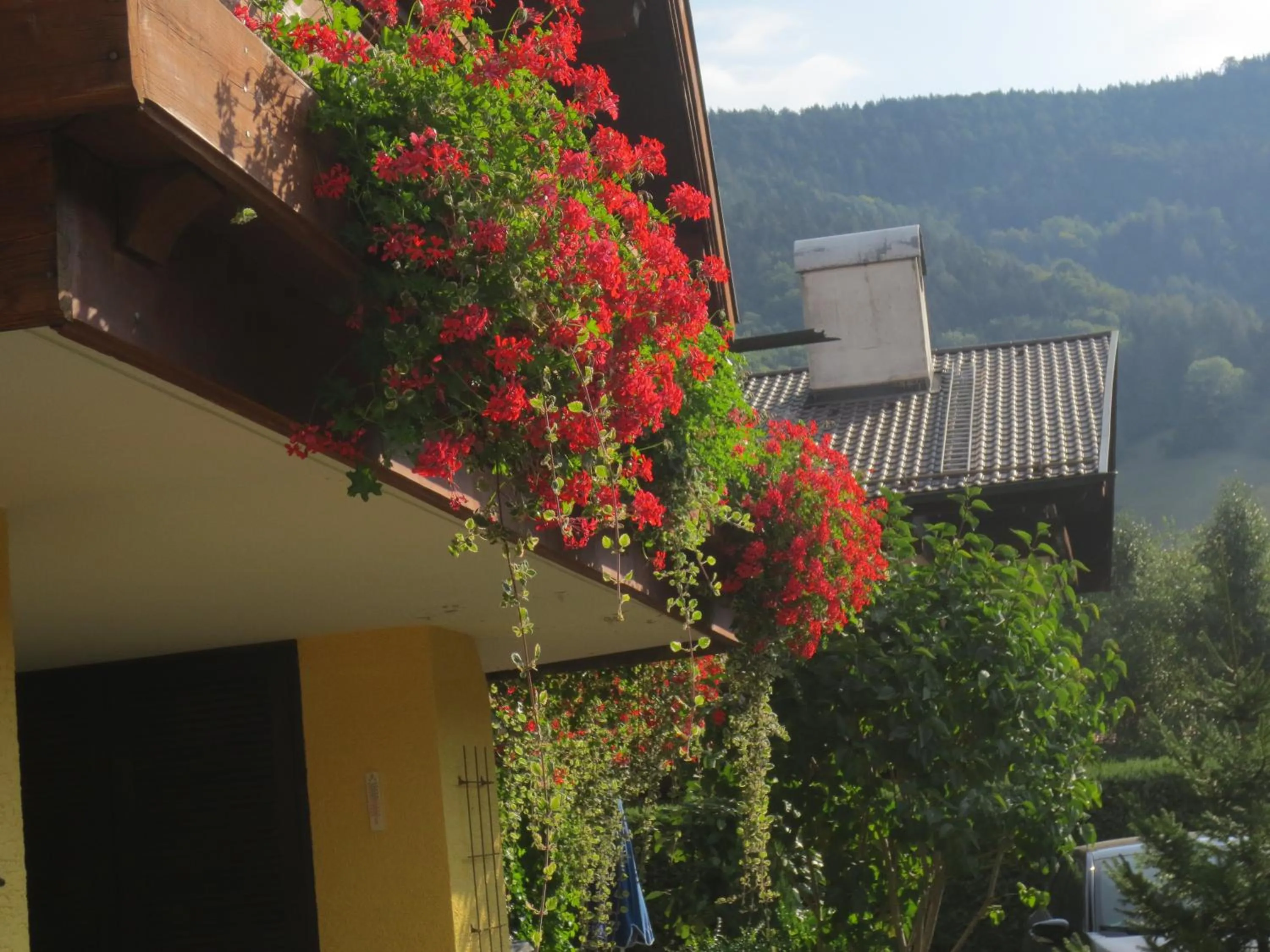 Property building in Hotel Alp Inn - Chiemgaukarte inclusive
