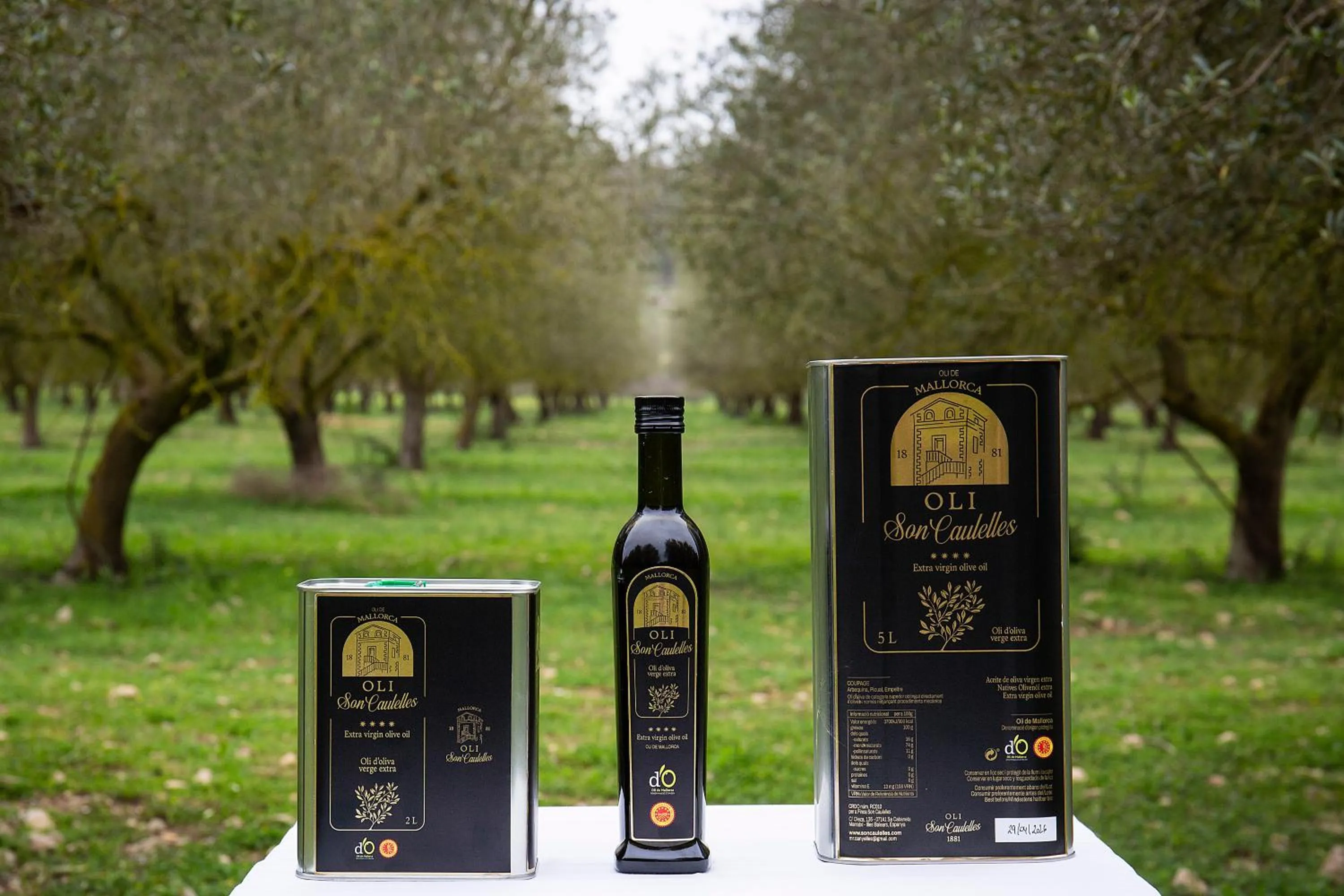 Restaurant/places to eat in S'Hort de Son Caulelles - Adults Only